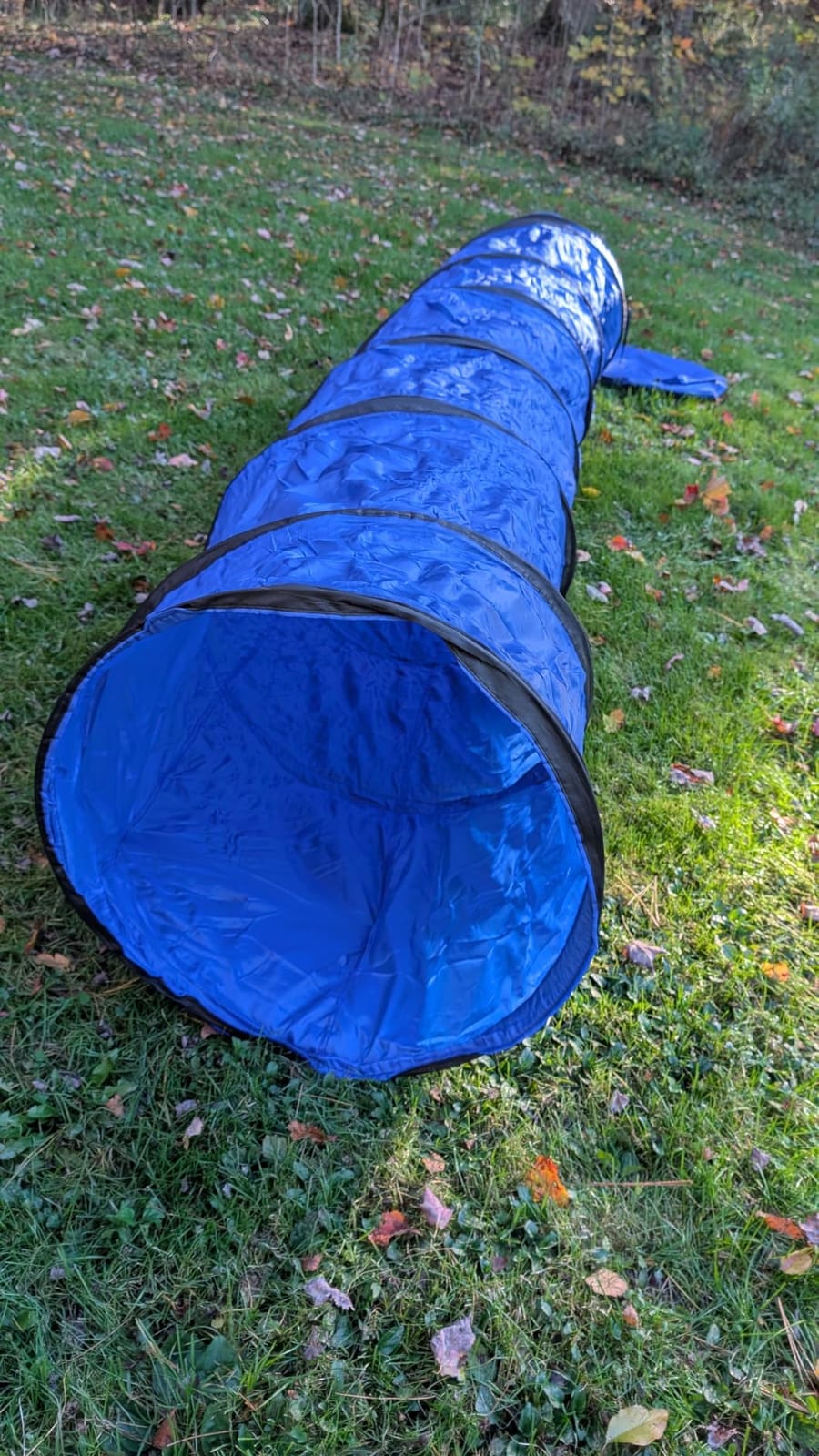 Dog Agility Tunnel with Carry Bag and Ground Spikes, Foldable 10-Foot Tunnel for Dog Training, Dog Agility Equipment for Outdoor, Backyard, Indoor Use, KINETOVOLTA customer photo 1