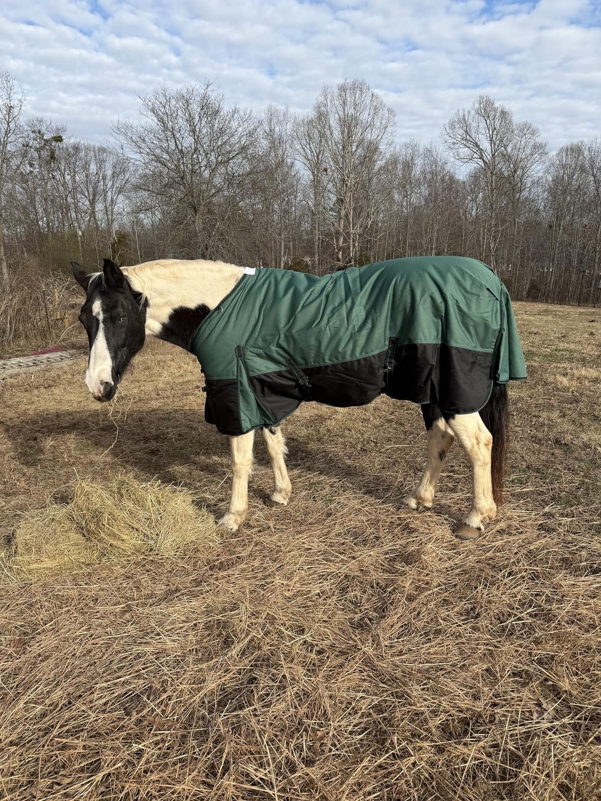 1200D Ripstop Waterproof Breathable Horse Blanket (200g Fill), Medium Weight Warm Winter Turnout, Thermal Protection for Cold & Snow Greenblack 72