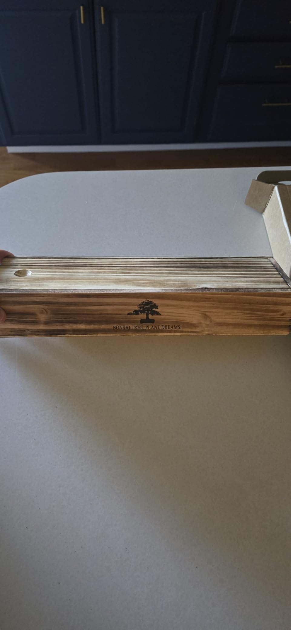 LUOJIBIE Bonsai Tree Kit, Bonsai Tree Starter Growing Kit, Unique Birthday Gifts for Women Men Mom Dad Girls Boys, House Warming Gifts New Home, Gardening Anniversary Wedding Gift, Crafts Hobby Kits customer photo 2