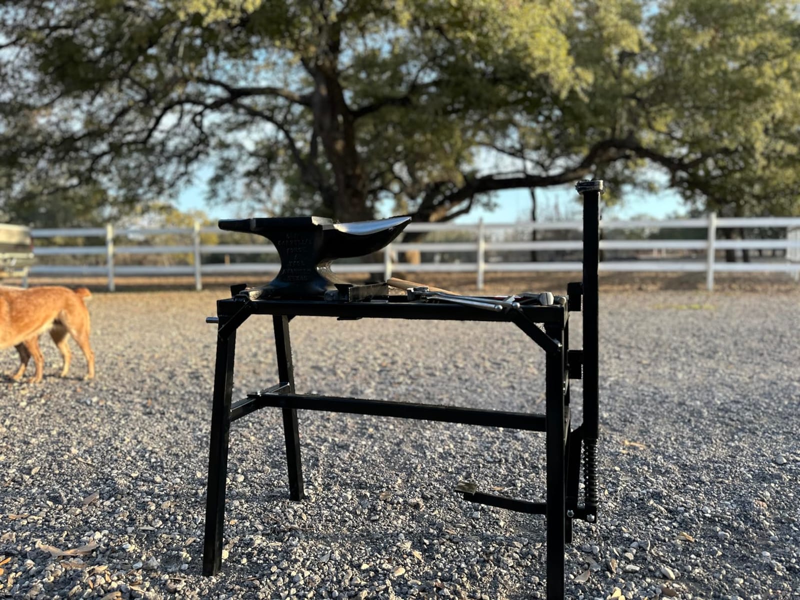 VEVOR Single Horn Anvil, 66 lbs, High Hardness Cast Steel, Rugged Round Horn Anvil Blacksmith, with Pritchel and Hardy Hole, Large Countertop Stable Base, Metalsmith Tool for Bending and Shaping customer photo 2