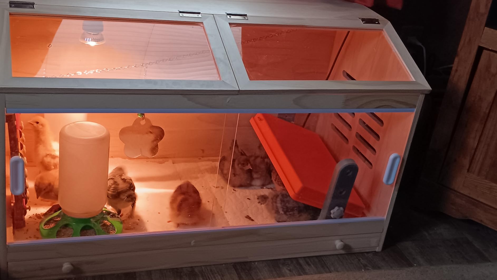 Large Wooden Chick Brooder Box with Drawers, 3 Heat Lamps and Thermostat - Built-in thermometer, 31.5 x 15.75 x 18.1 in customer photo 1