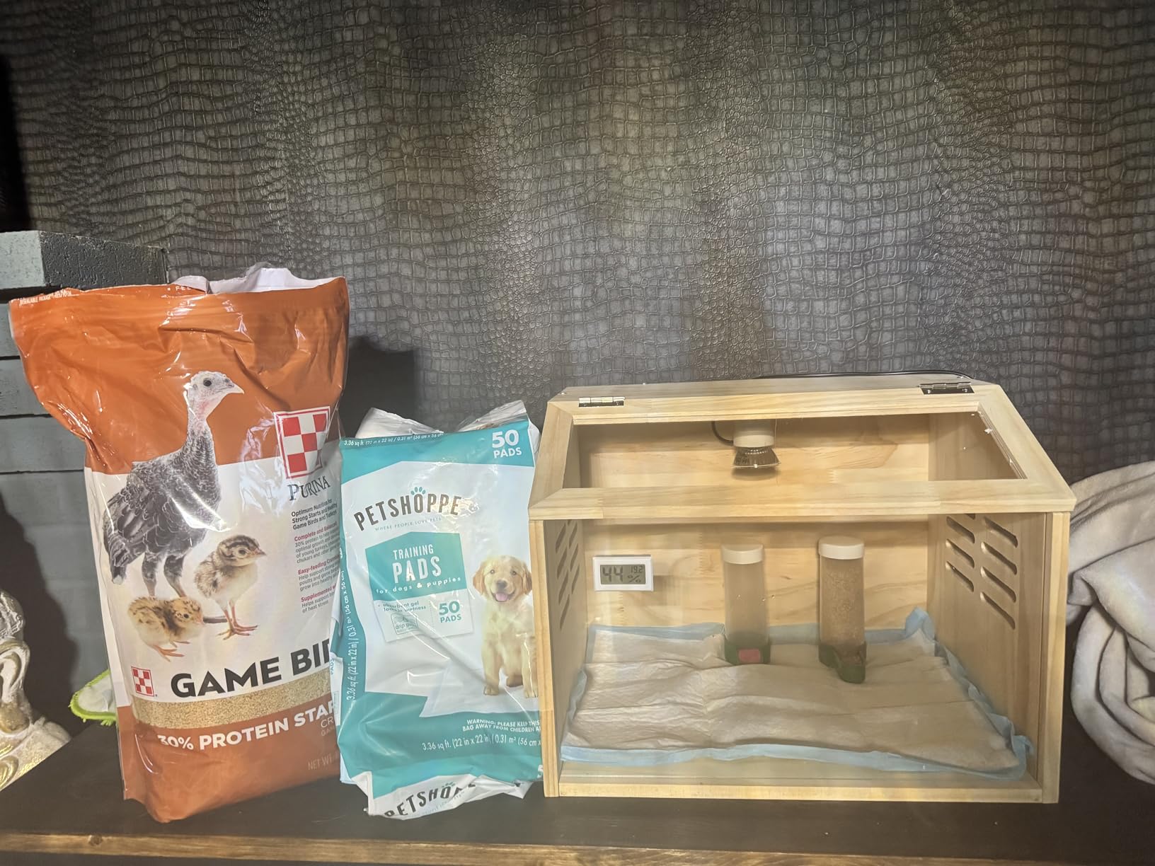 Large Wooden Chick Brooder Box with Drawers, 3 Heat Lamps and Thermostat - Built-in thermometer, 31.5 x 15.75 x 18.1 in customer photo 2