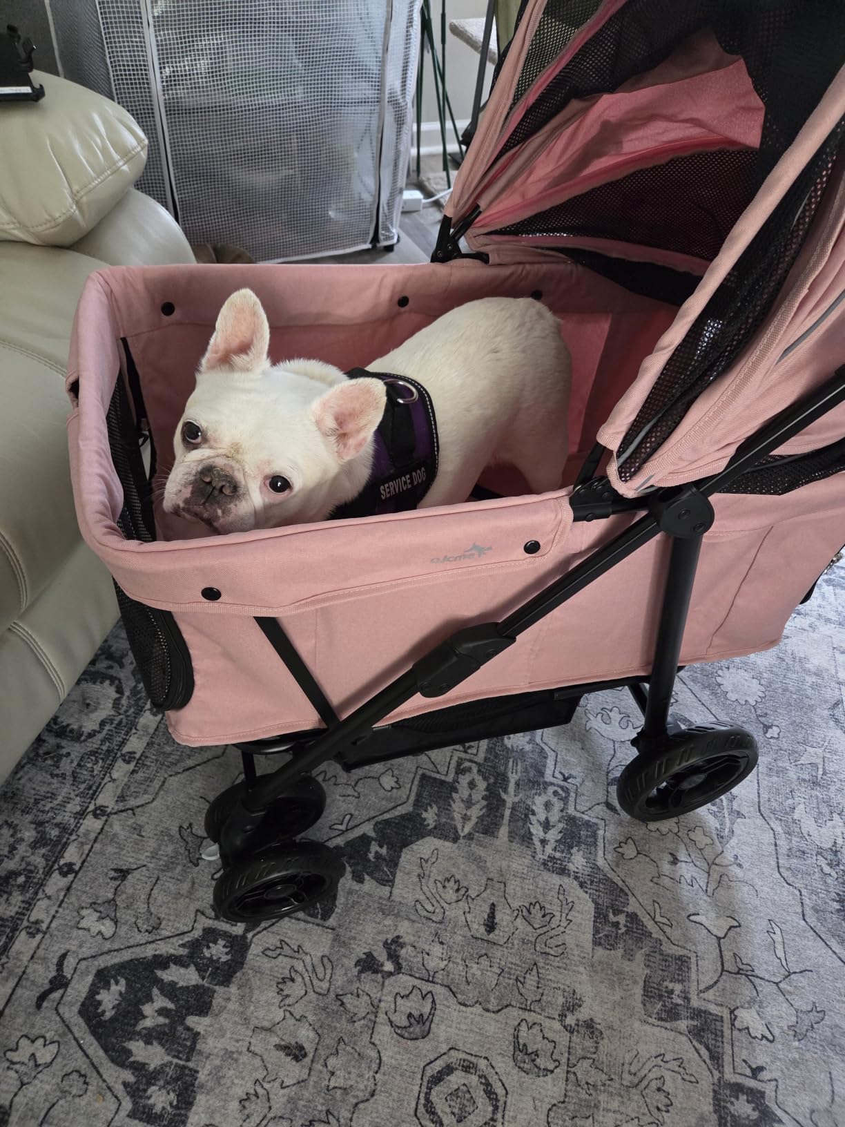 Dog Stroller for Large & Medium Dogs (20-132 lbs), for 2 Small Dogs | Pet Stroller, Extra Large Heavy Duty, Foldable & Ventilated, Grey customer photo 2