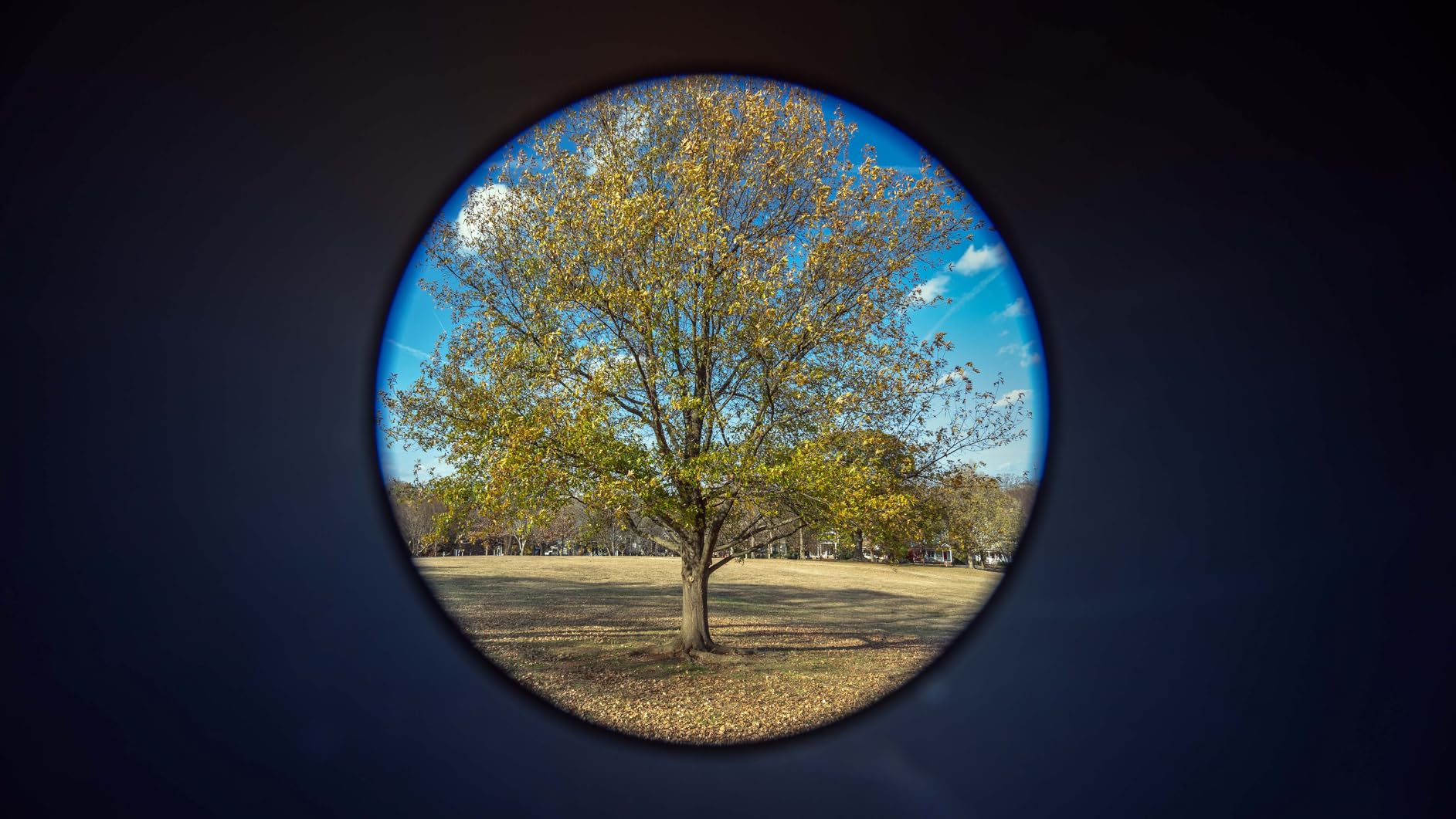 VILTROX 14mm F4.0 FE-Mount Lens for Sony, Full Frame Auto Focus Ultra-Wide Angle Prime Lens for Sony E-Mount Cameras A7SIII A7II A7RIII A7IV A7RIV A9 A1 FX3 A7RV ZVE1 A7CR A7CII A9III customer photo 1