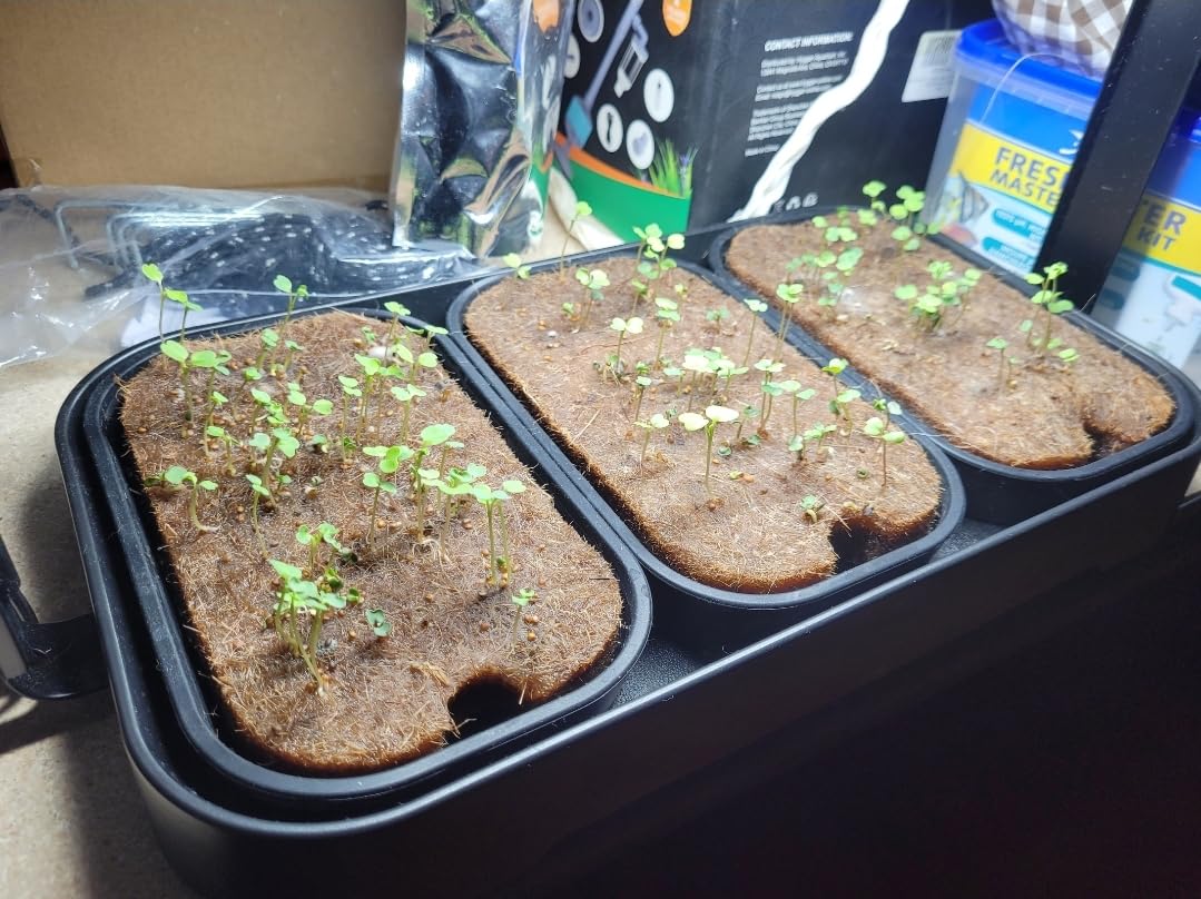 Microgreens Growing Kit Indoor, Micro Greens Indoor Herb Garden Kit with LED Light, 3 Microgreens Growing Trays, 6 Jute Mats - Indoor Grow Kit & Herb Growing Kit (No Seeds) customer photo 1