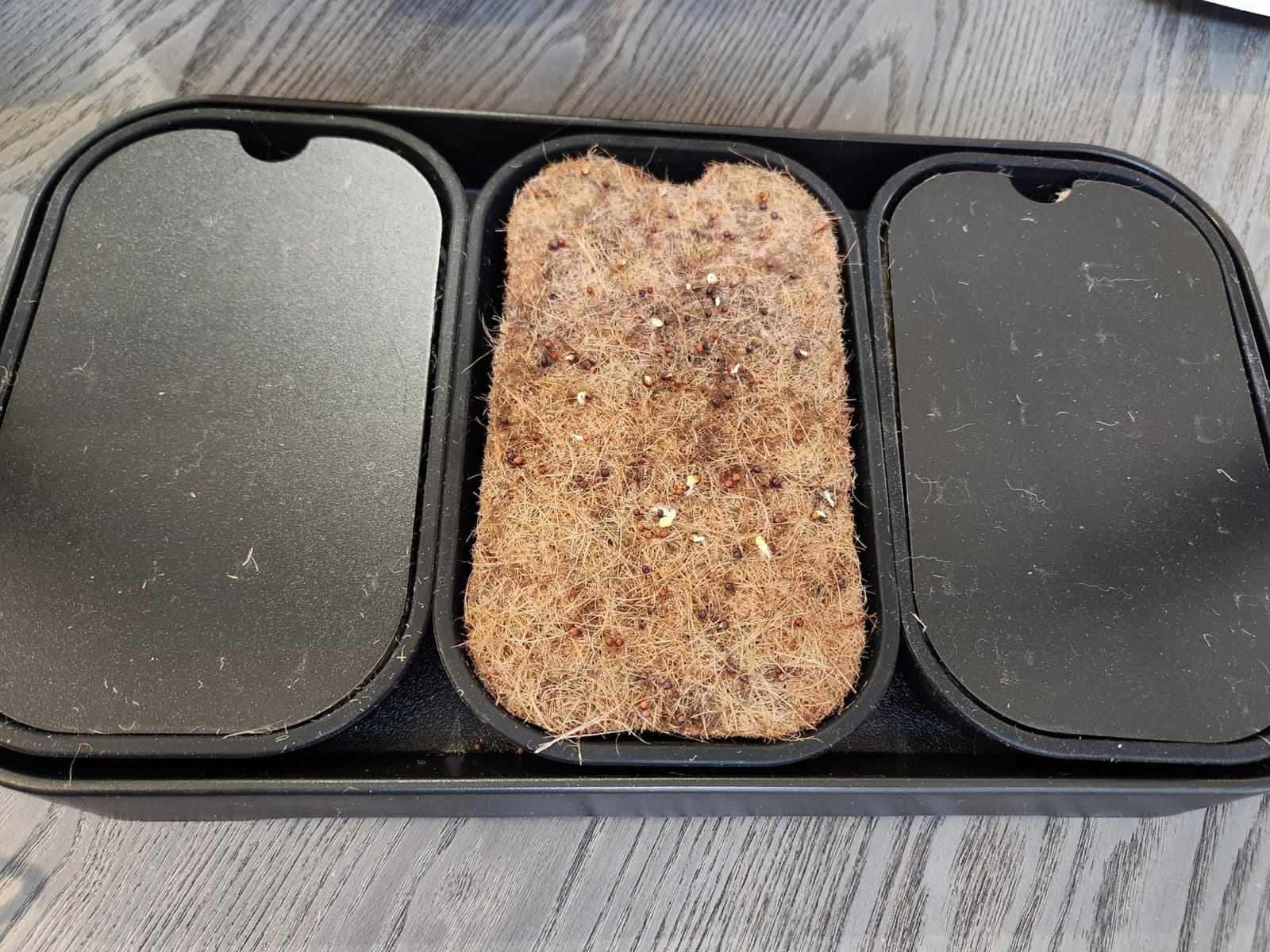 Microgreens Growing Kit Indoor, Micro Greens Indoor Herb Garden Kit with LED Light, 3 Microgreens Growing Trays, 6 Jute Mats - Indoor Grow Kit & Herb Growing Kit (No Seeds) customer photo 2