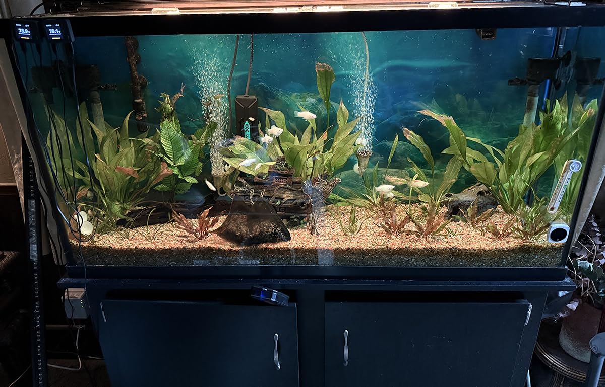 OYO WATER Smart LED Aquarium Light with App Control, Full Spectrum RGB, Bluetooth Enabled, Programmable Timer, Black, for Fish Tanks (WCL36-42B) customer photo 2