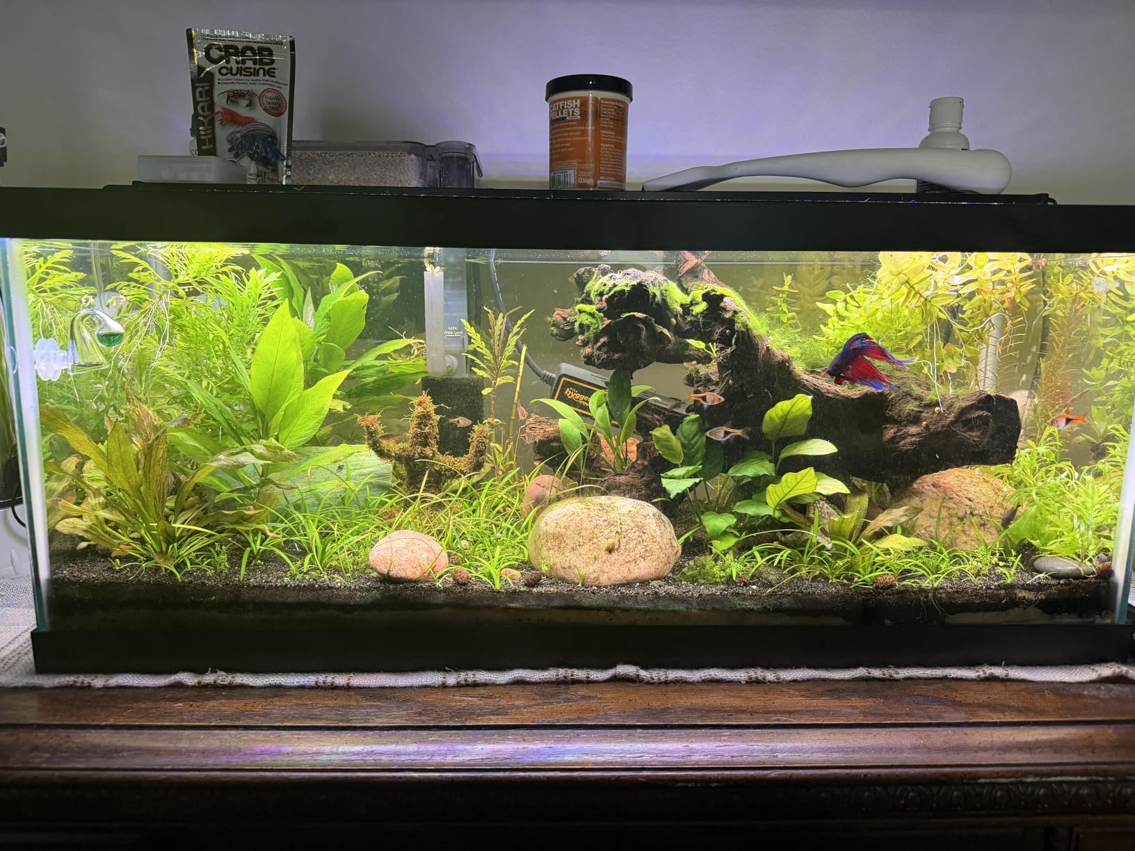 FZONE 5.5L Upgraded Aquarium CO₂ Generator kit for Aquarium Plants Tanks | Stable CO₂ Output, 304 Stainless Steel, All-in-One CO₂ Solenoid Valve, CO₂ Diffuser, CO₂ Tubing, Bubble Counter, Safety Valve customer photo 1
