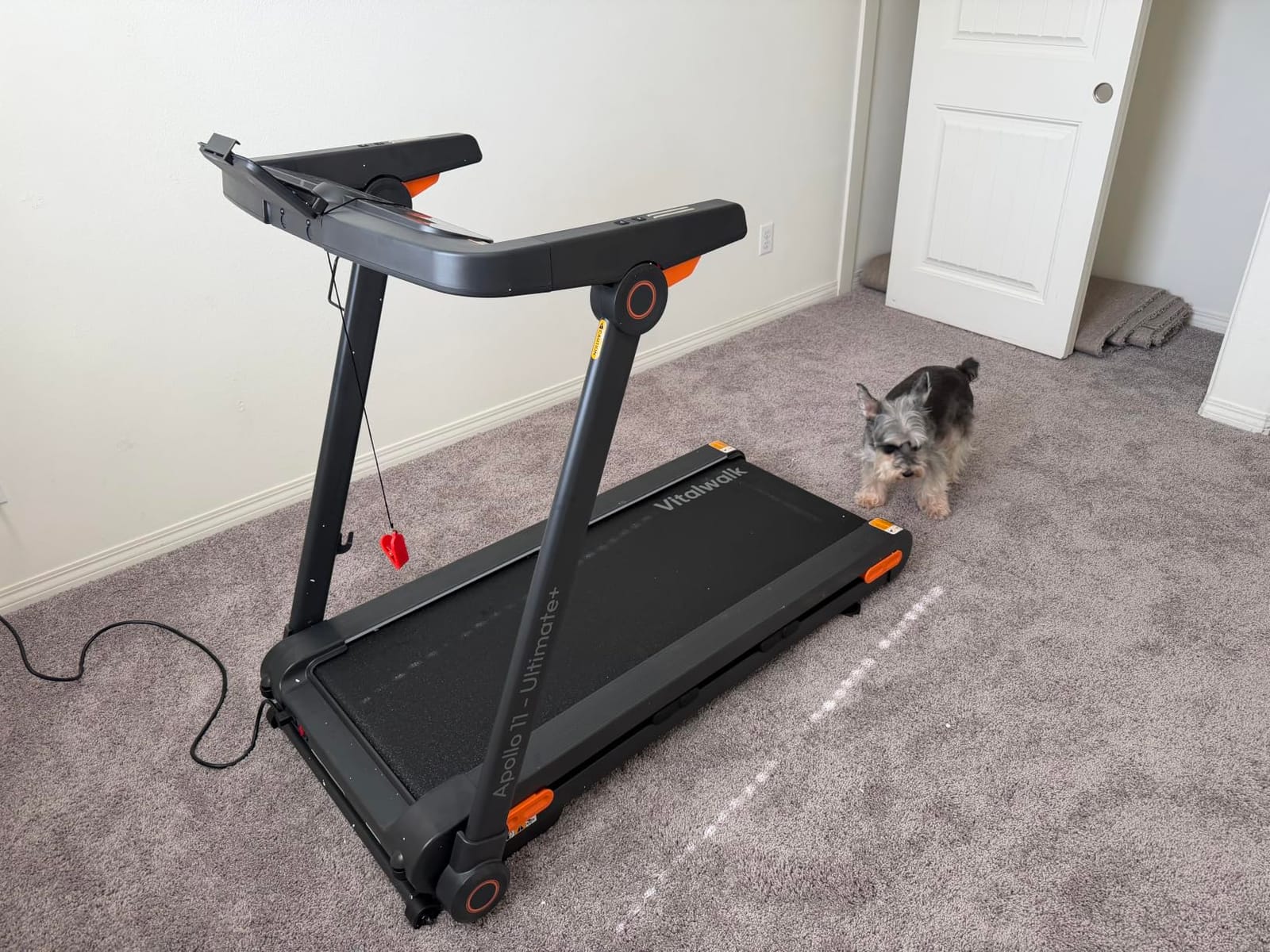 Foldable Walking Pad Treadmill with Incline 20%/25% Auto, 49