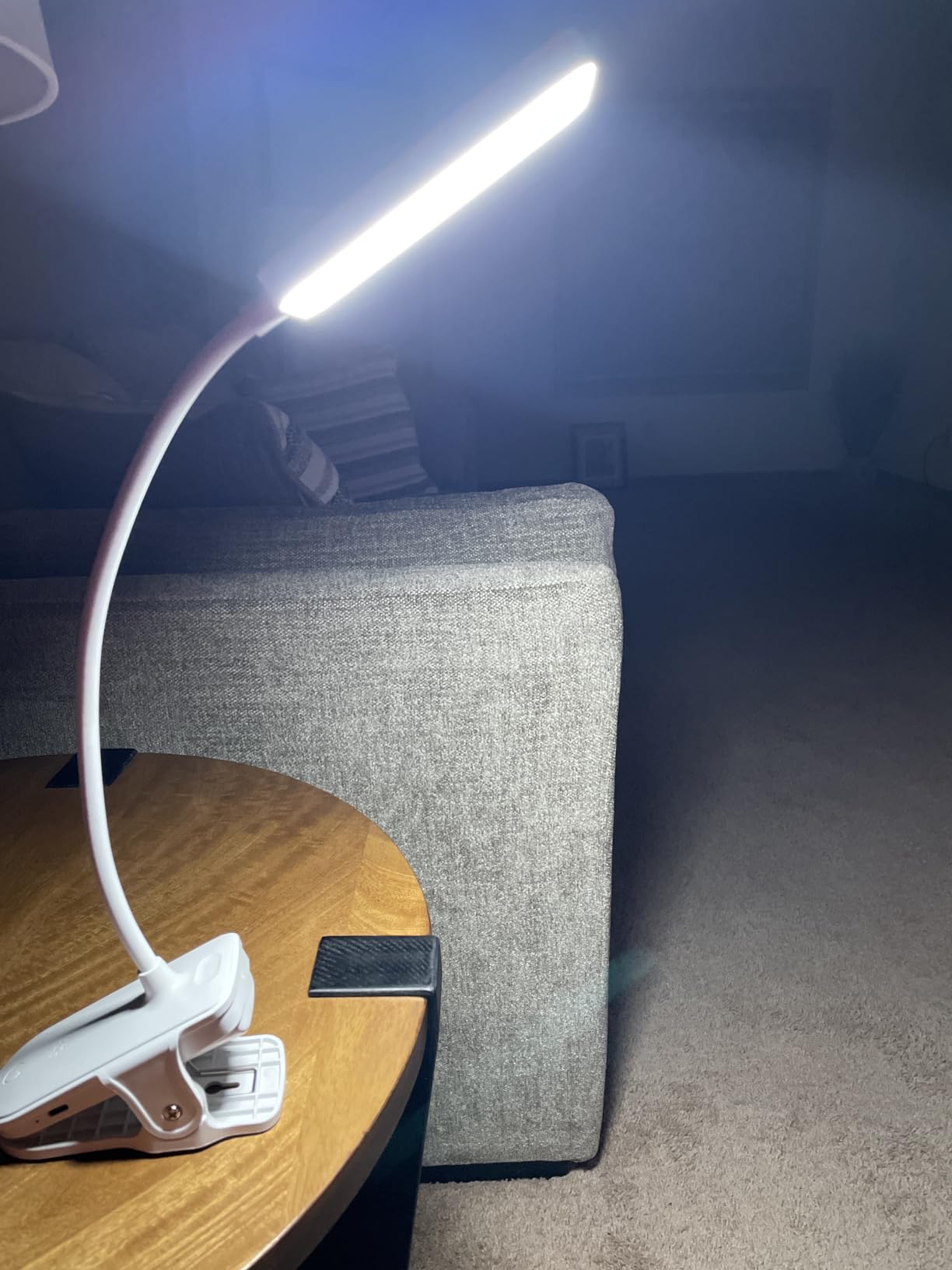 Clip on Lamp, 9 Brightness+5 Colors Reading Lights for Books in Bed Lamp | 4000mAh Battery Clip on Light,450 Lumen Rechargeable Desk Lamp for Dorm Lamp,Book Light for Reading in Bed Headboard/Bedside customer photo 1