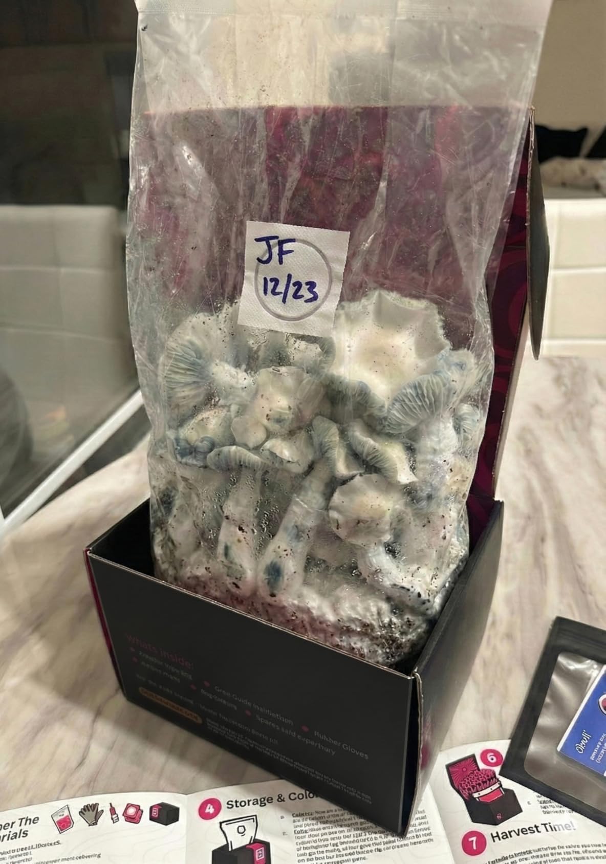 Mushroom Grow Kit - All-in-One 4LB Grow Bag with Self-Healing Port - Fast-Colonizing Universal Substrate for Any Mushroom - Multi-Flush High-Yield - USA Made (Just Add Your Own Culture) customer photo 2