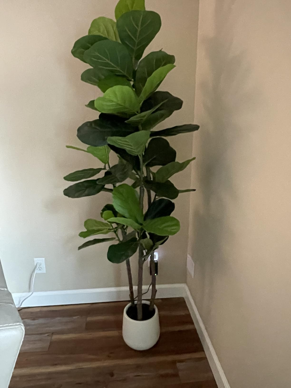 6ft Fiddle Leaf Fig Tree Artificial with Tall Exquisite Planter | Faux Fiddle Leaf Fig Tree, Natural Trunk, Lifelike Leaves - Fake Fig Tree for Home Living Room Bedroom Offices Indoor Decor customer photo 1