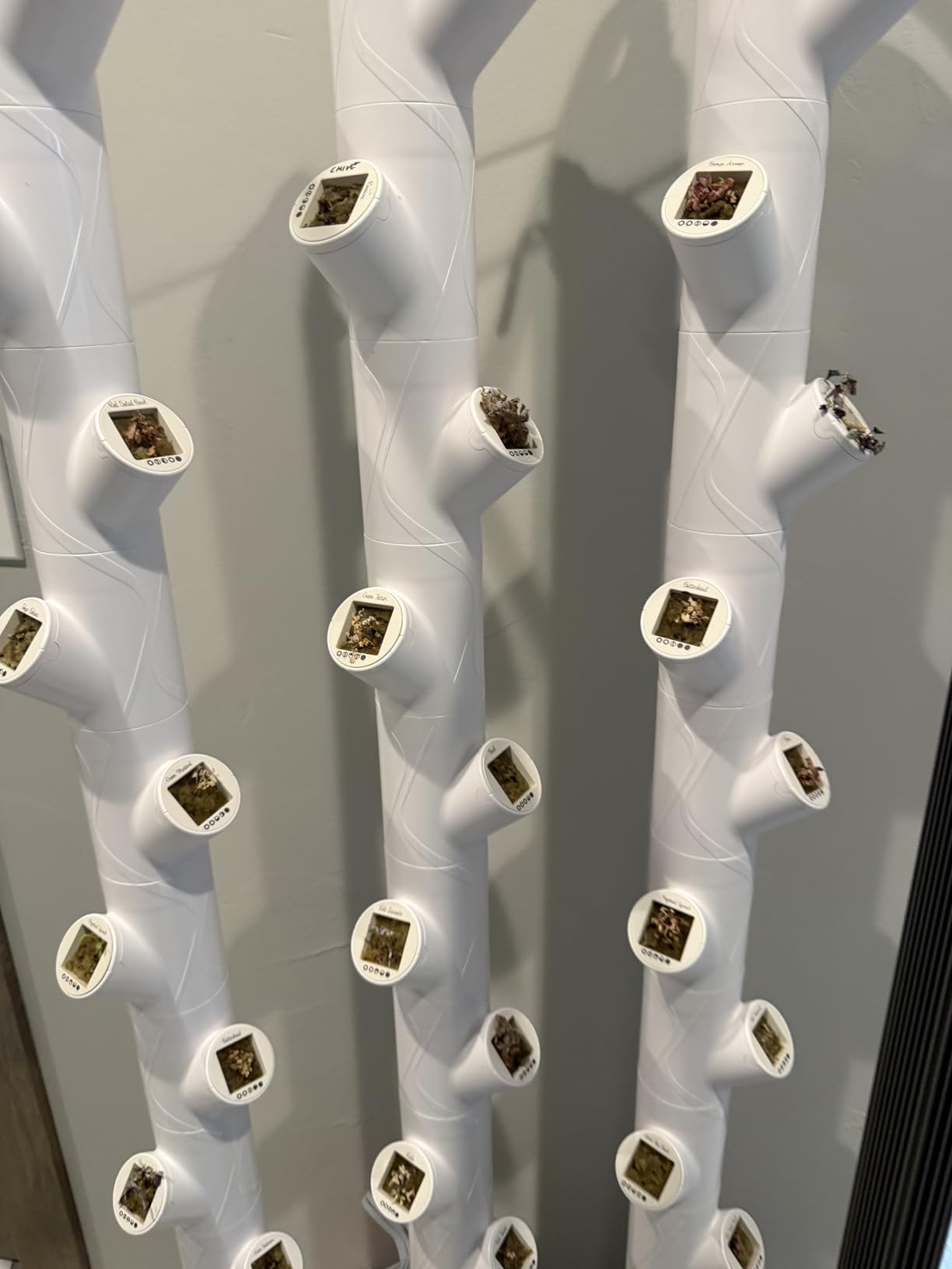 Gardyn Home 4 Vertical Hydroponics Growing System Kit - 30 Plants | AI-Powered Smart Garden with LED Grow Lights customer photo 2
