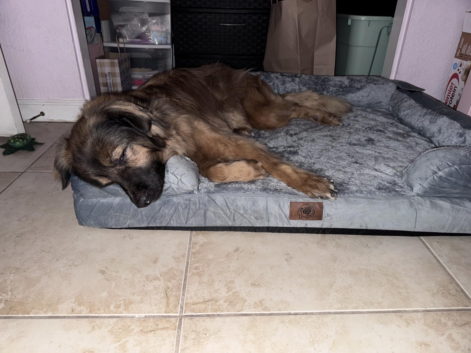 Waterproof Orthopedic Dog Bed for Extra Large Sized Dogs | Memory Foam Pet Bed Sofa with Bolster, Dog Couch with Washable Cover & Non-Slip Bottom, 42x30 Inch, Grey customer photo 2