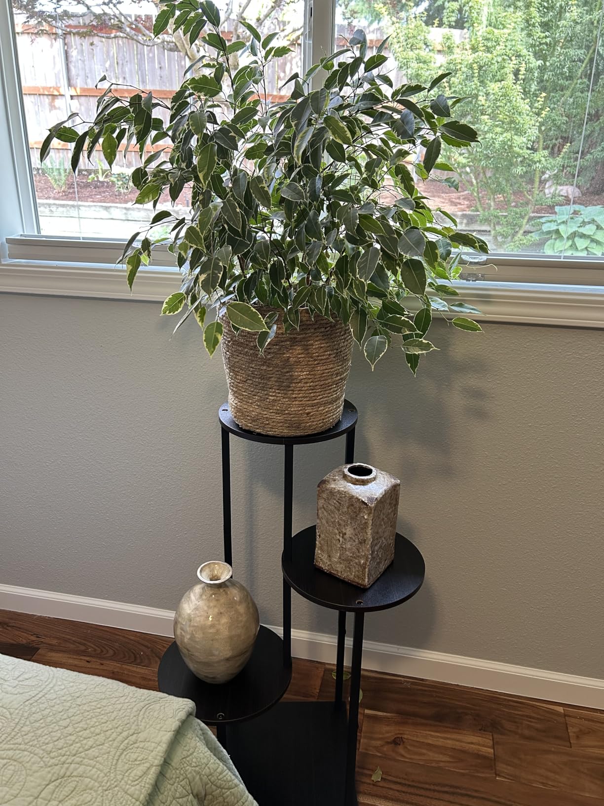 4 Tier Plant Stand Indoor Outdoor, Metal Flower Shelf Display Holder Corner | Multiple Plants Rack Tall Holder, Sturdy Rustproof Metal, Space-saving Tiered, Modern for Patio Balcony Porch Garden (Black) customer photo 2