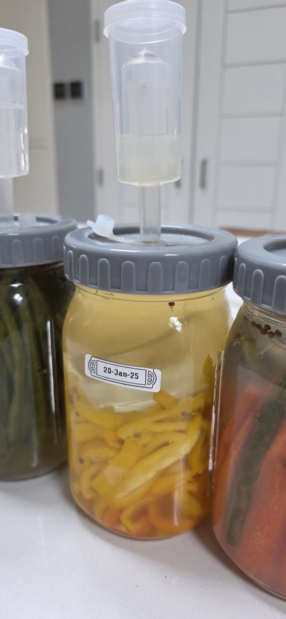4-Pack Mason Jar Fermentation Kit With Four 32 Oz Jars And Plastic Lids customer photo 1
