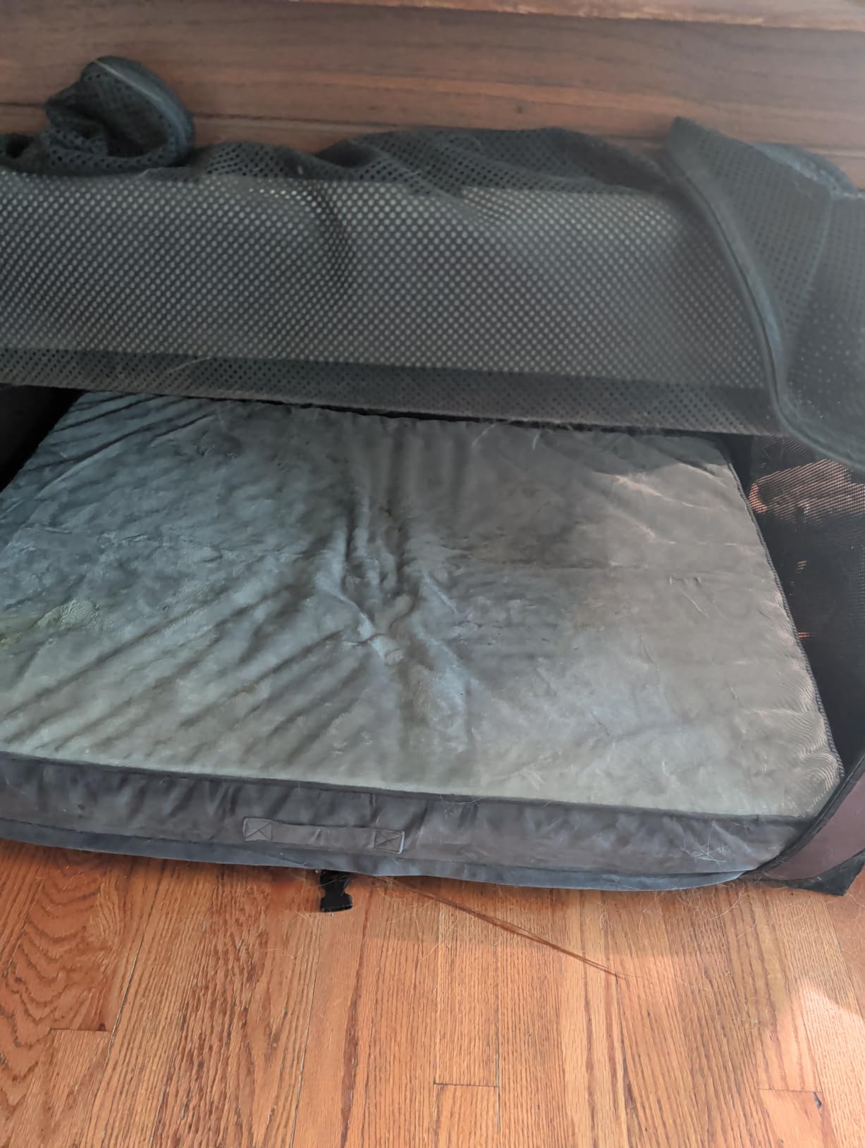 OhGeni Orthopedic Waterproof Small Dog Bed, Memory Foam, 24 inch (Gray) customer photo 2