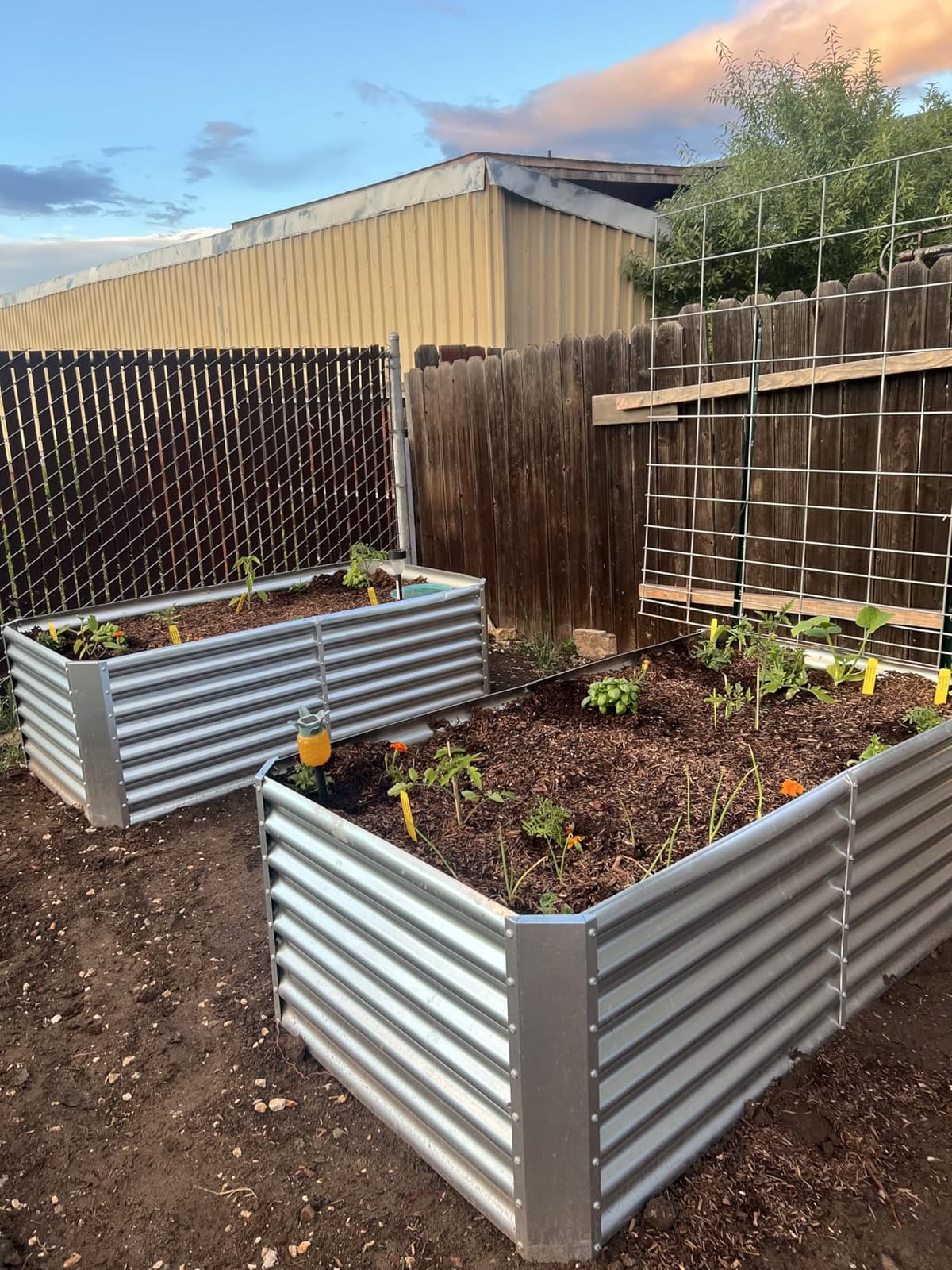 Land Guard 2 Pack 6×3×2 ft Galvanized Metal Raised Garden Bed, 2FT Deep Root Elevated Planter Box Steel Large Vegetable Flower Bed Kit, Silver customer photo 1