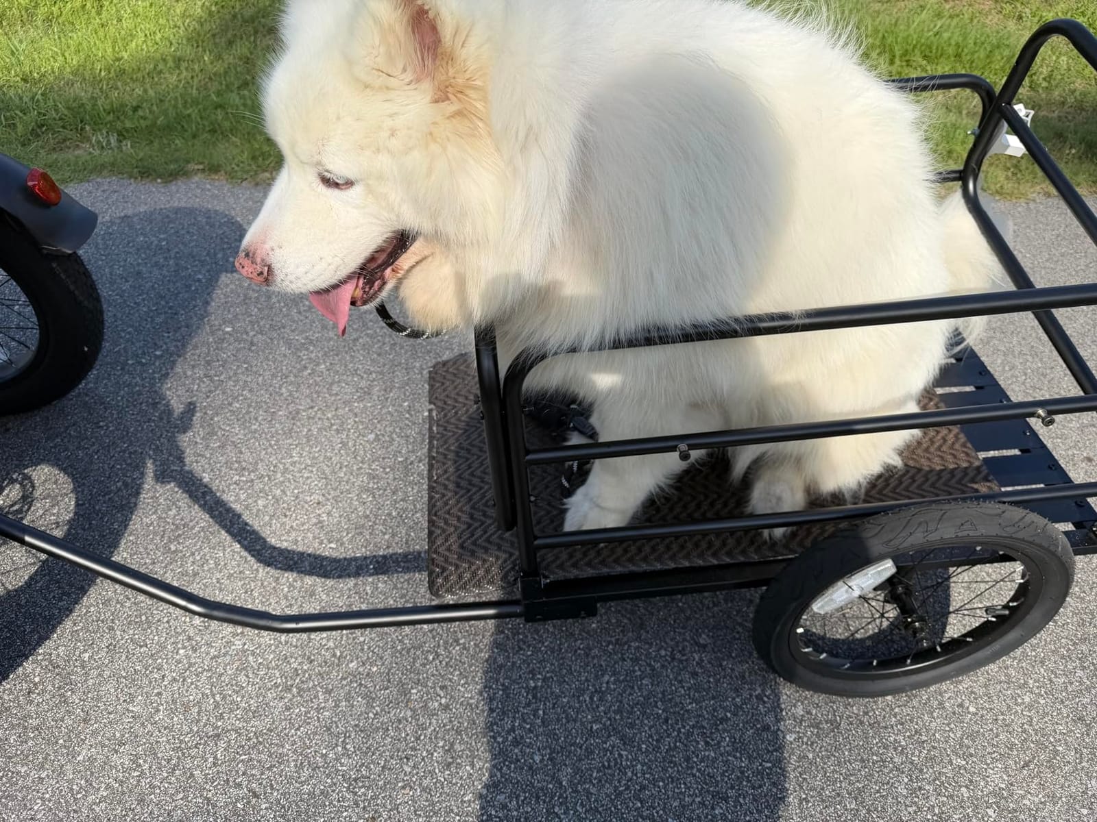 Folding Electric Tricycle for Adults 2 Seater, 20MPH 100 Miles 4