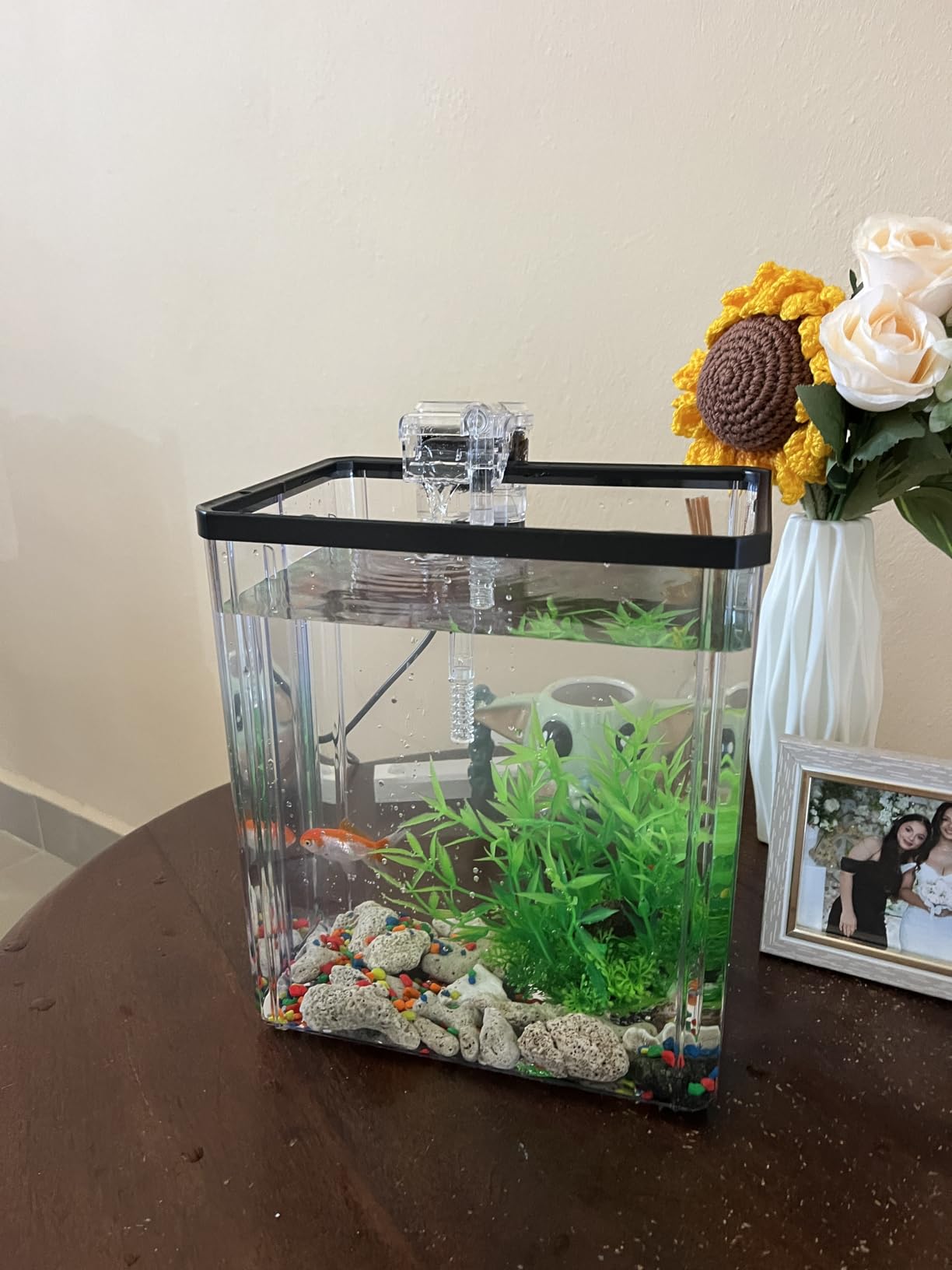 1.8 Gallon Beta Fish Tank Aquariums Kits - Clear Small Fish Bowl Starter Kit with LED Light, Water Filter Pump, Hydroponic Basket - Beginner's Gift for Guppy Shrimp Goldfish, Rectangular customer photo 2