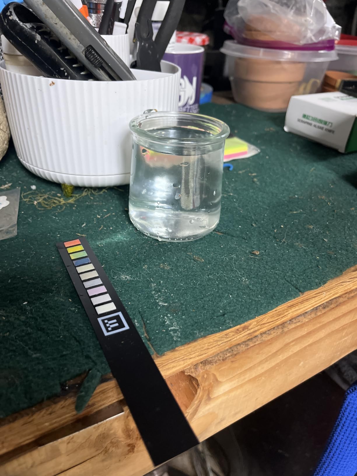 10-in-1 Pool & Spa Water Test Kit with App, Hot Tub, Saltwater, Chlorine, Cyanuric Acid, Alkalinity, Hardness, pH, Nitrate, Sulfate, Digital Water Quality Testing Strips (DXPOOL-R10-S10) customer photo 2