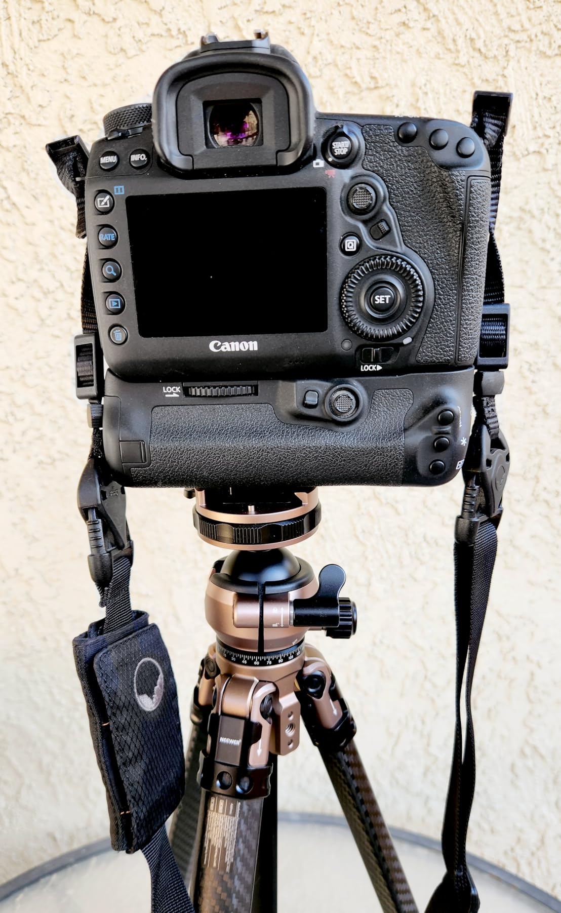 NEEWER LITETRIP Carbon Fiber Travel Tripod with Pan Tilt Low Profile Ball Head, 62.4