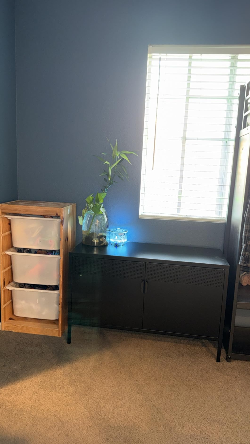 3-Tier Metal Storage Cabinet with 2 Adjustable Shelves & Mesh Doors | Metal Locker Accent Cabinet with Legs, Green Storage Cabinets, Metal TV Stand Cabinet for Home Office, Entryway & Hallway customer photo 1