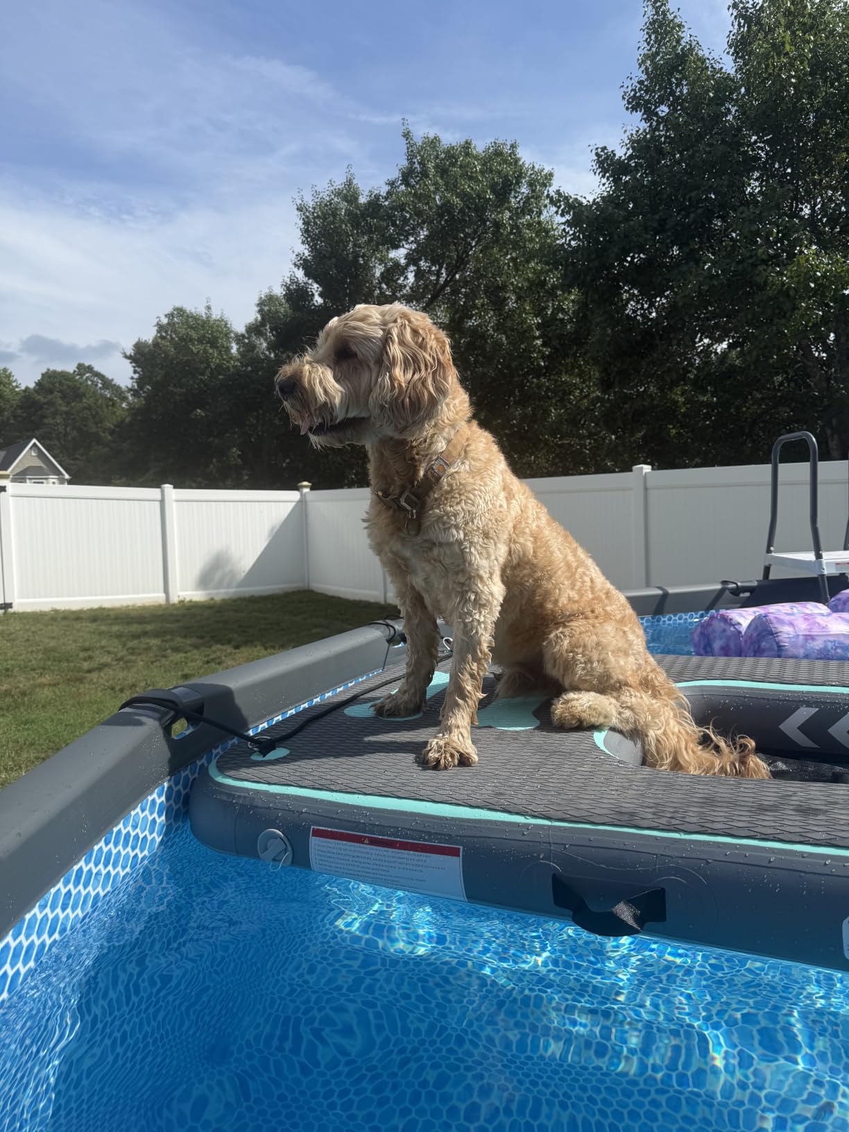 8x6ft Extra Large Inflatable Dog Dock & Boat Ramp for Multiple Large Dogs | 800 LBS Load Capacity, with Anti-Slip EVA Foam & Built-in Ice Bucket Compartment, Dog Water Ramp for Pool Boat Beach Blue customer photo 1