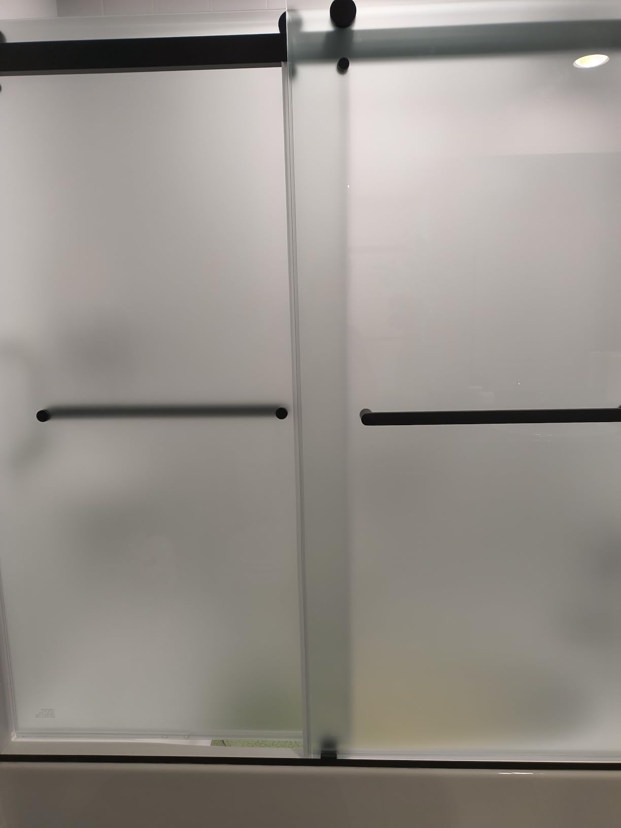 Frameless Stainless Steel Sliding Shower Door, 56-60