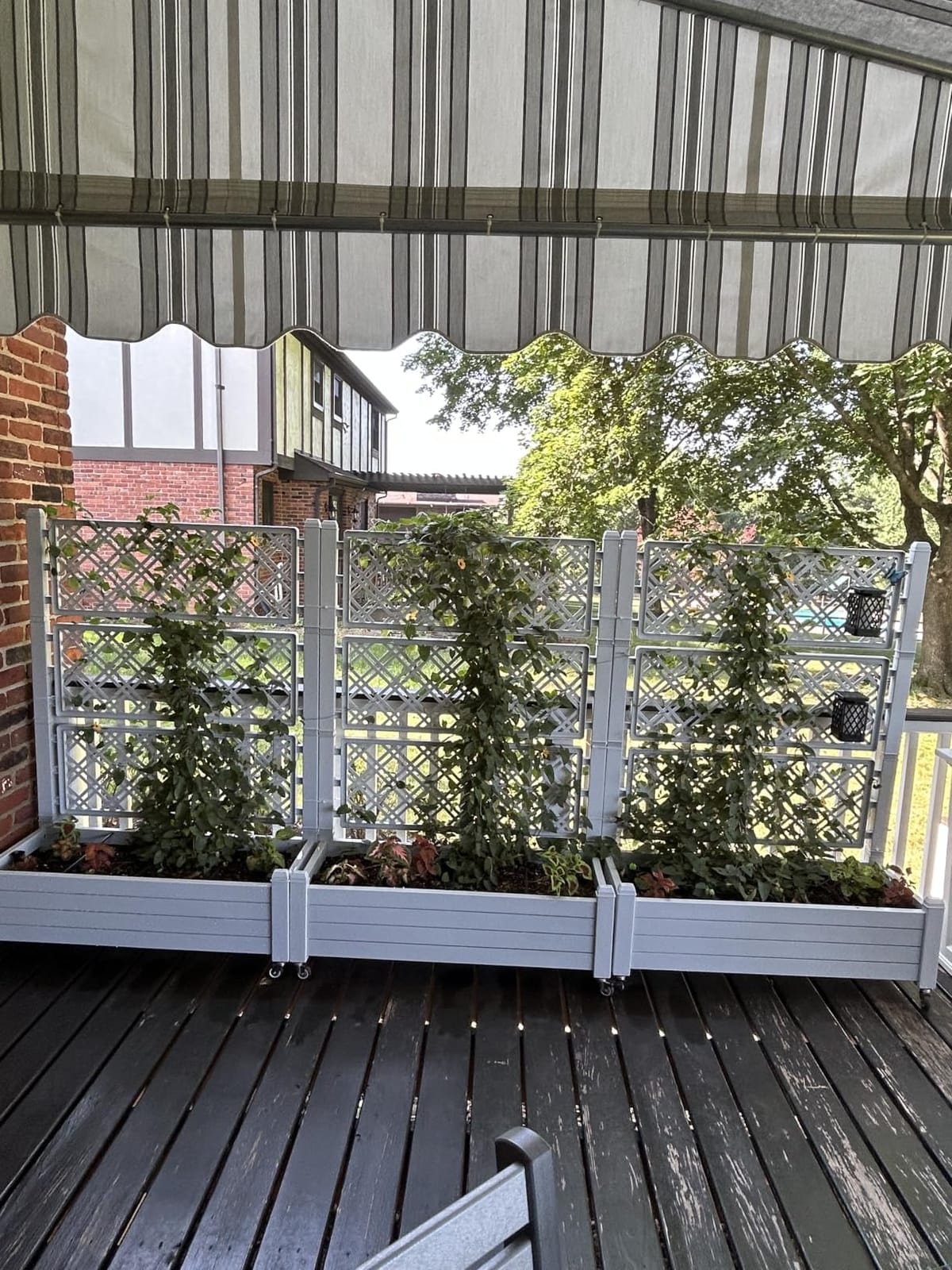 Elevated Raised Garden Bed with Trellis&Wheels, Ashen-61.2