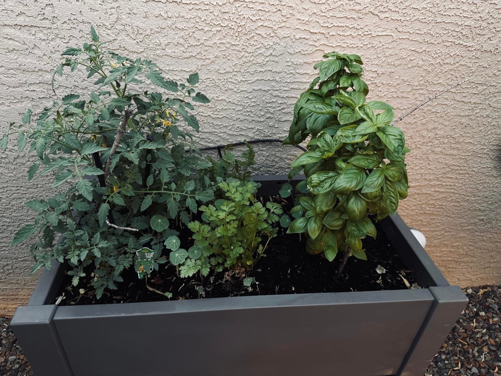 Elevated Raised Garden Bed with Trellis&Wheels, Ashen-61.2