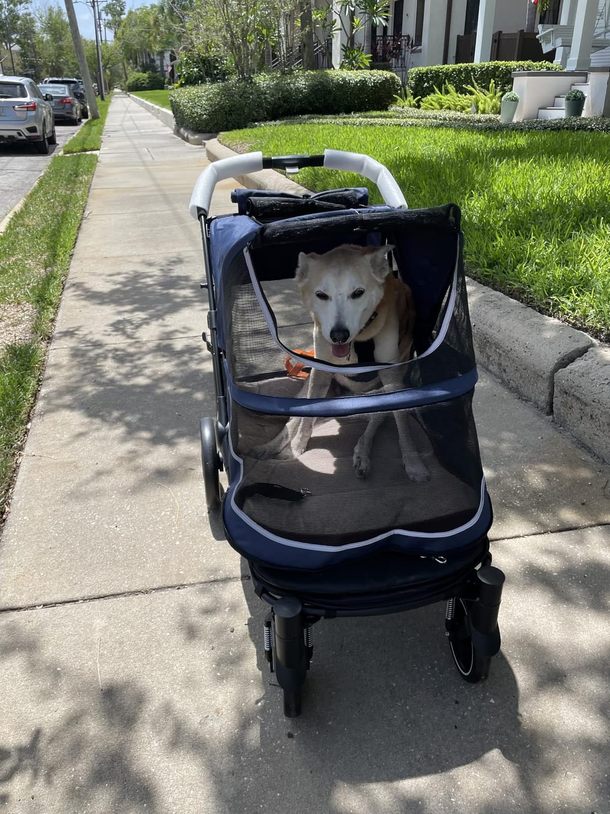 CANINE CANYON All-Terrain Pet Stroller for Large & Medium Dogs, Easy fold, 130 lbs capacity for 2 dogs, Dual entry, 1-foot brake, sunroof & breathable windows for outdoor adventures customer photo 1