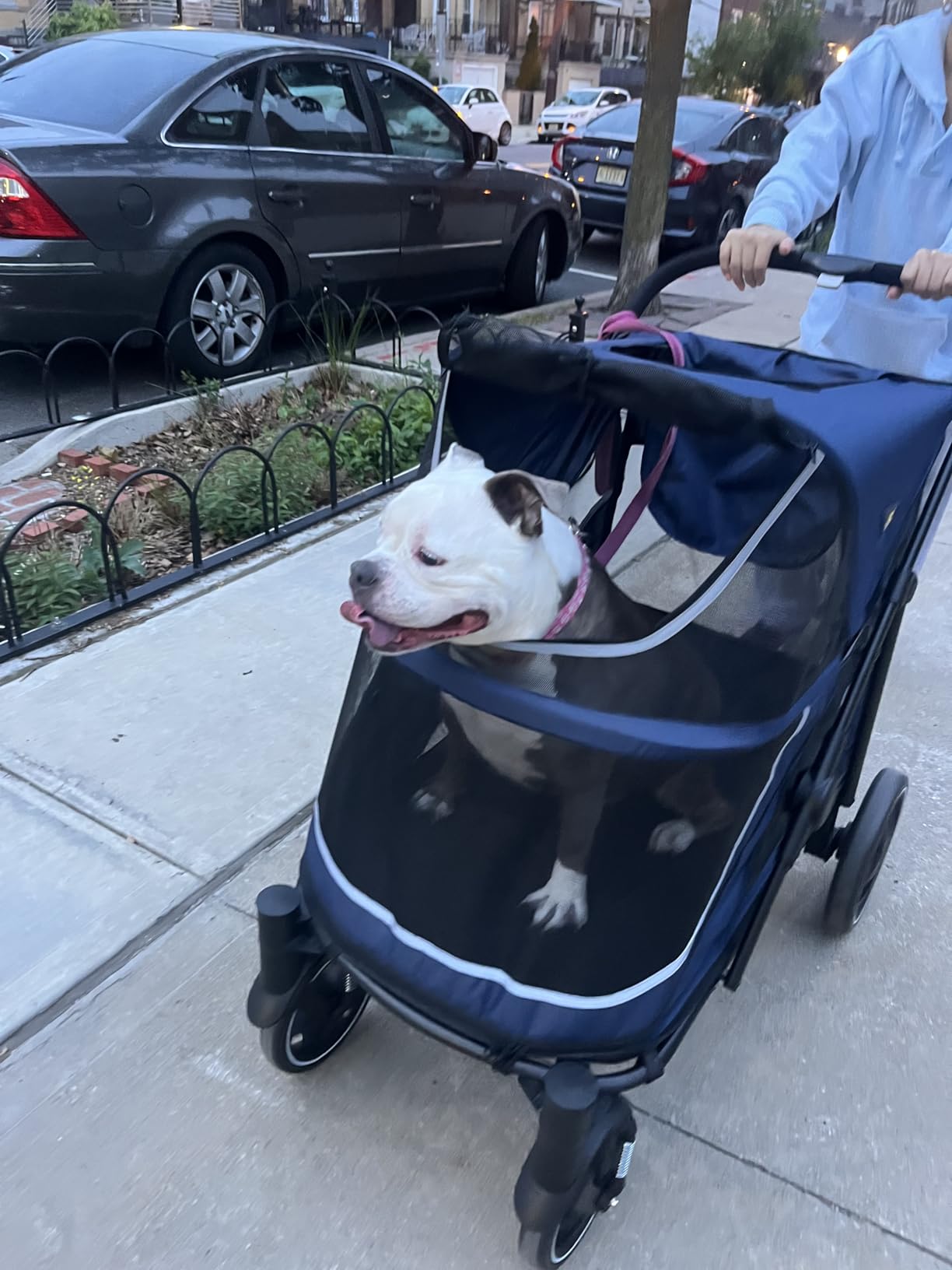 CANINE CANYON All-Terrain Pet Stroller for Large & Medium Dogs, Easy fold, 130 lbs capacity for 2 dogs, Dual entry, 1-foot brake, sunroof & breathable windows for outdoor adventures customer photo 2
