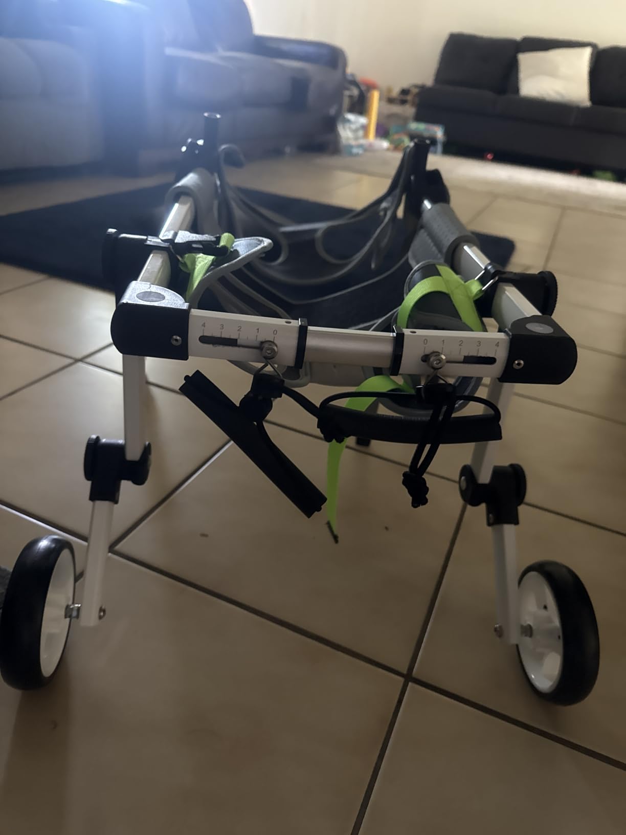 Dog Wheelchair for Small Dogs,6-33,Dog Wheelchair for Full Legs customer photo 2