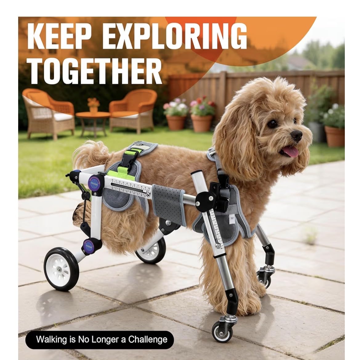 Dog Wheelchair 4 Wheels Adjustable, Full Body Support Dog Cart for Front & Rear Legs, Lightweight Mobility Aid for Small Dogs customer photo 1