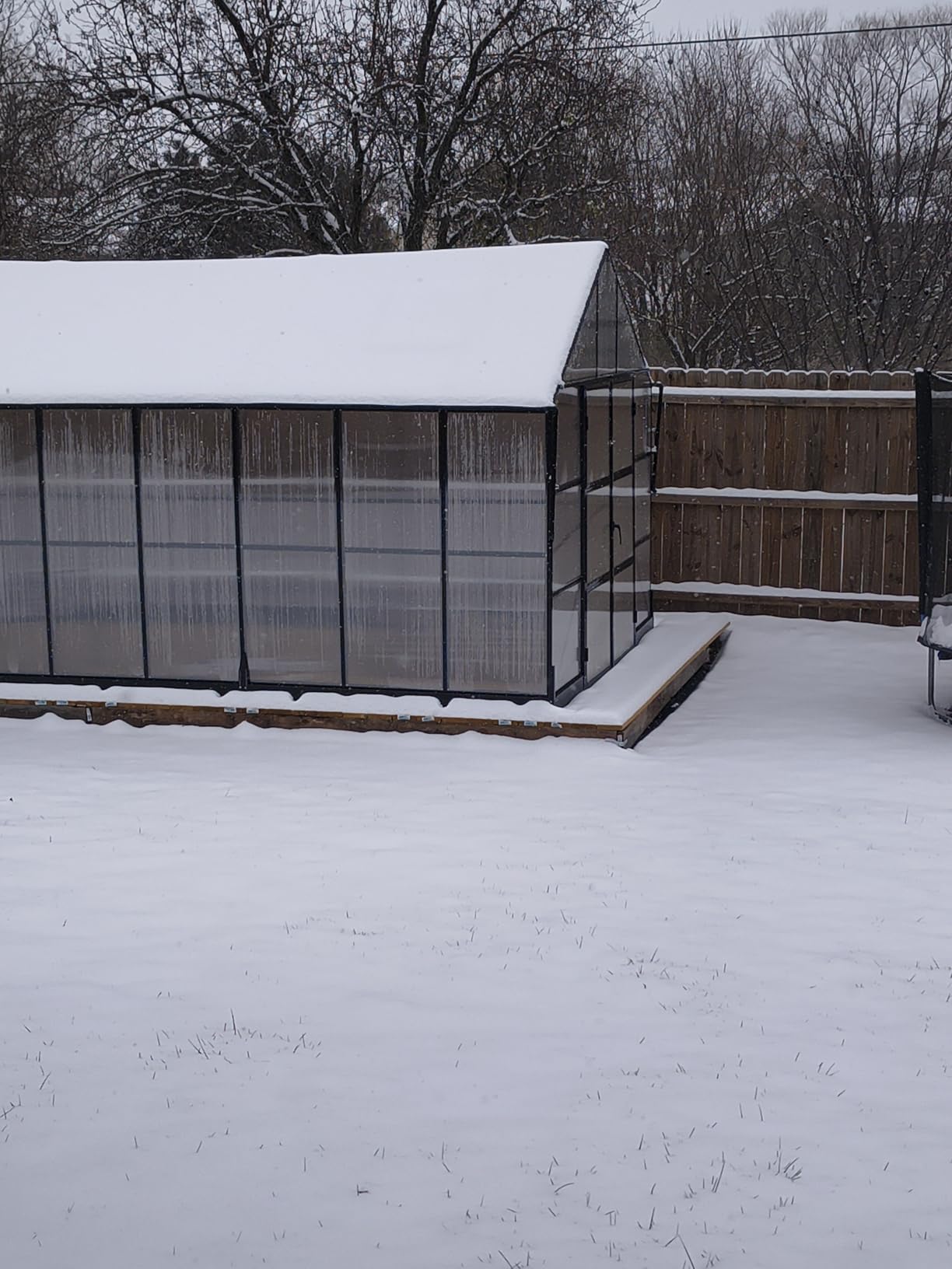 AMERLIFE 10x14 FT Polycarbonate Greenhouse with 4 Roof Vents | Heavy Duty Aluminum Greenhouse with Rain Gutter for Outdoor Garden, Backyard Use and Black Finish customer photo 2