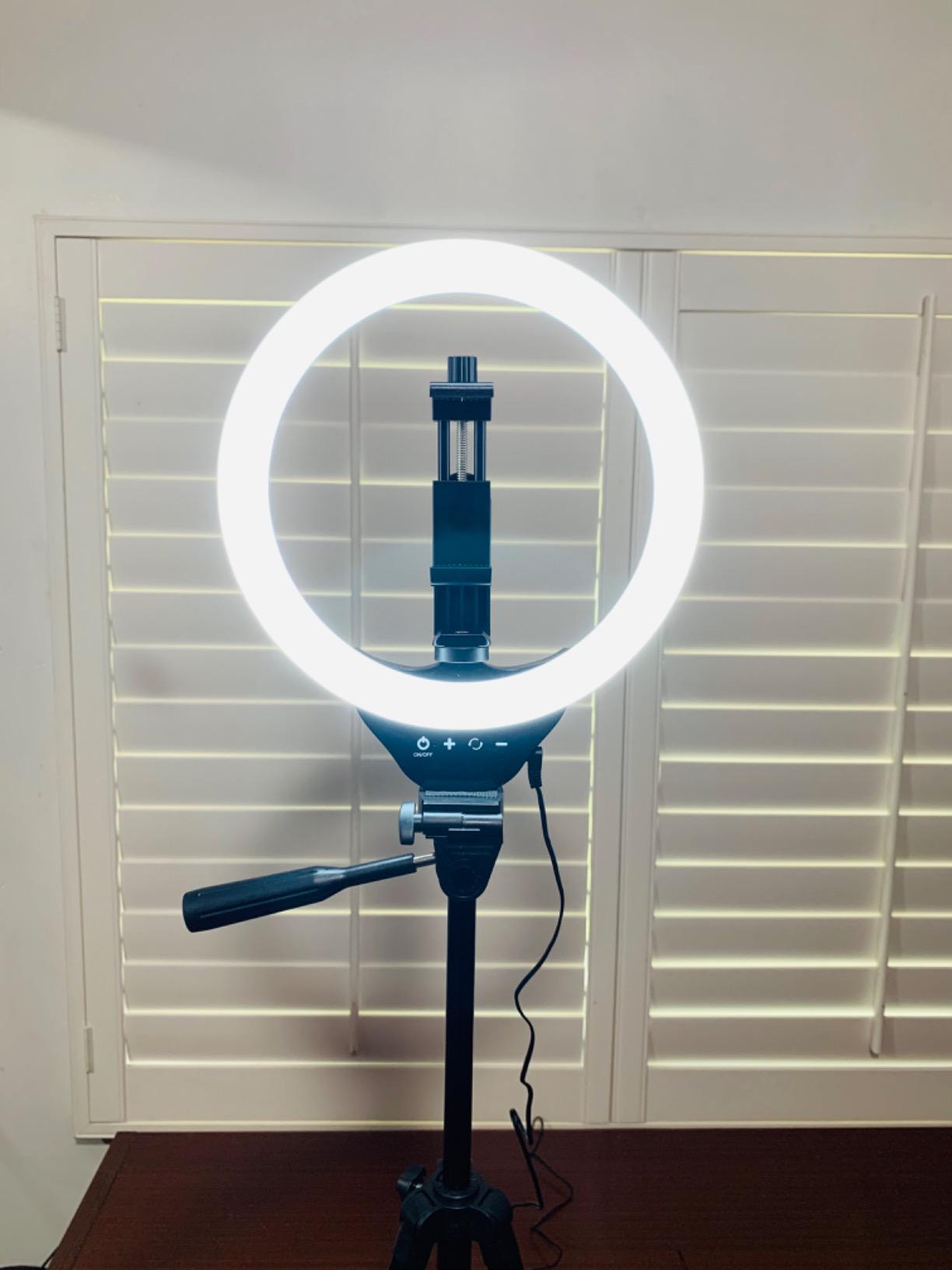 Torjim 12 Inch Video Light Kit for Creators | 30W High Brightness | Studio Lights with Tripod Stand & Phone Holder | 3000-6500K Adjustable Photography Lighting for YouTube Streaming Home Studio customer photo 1