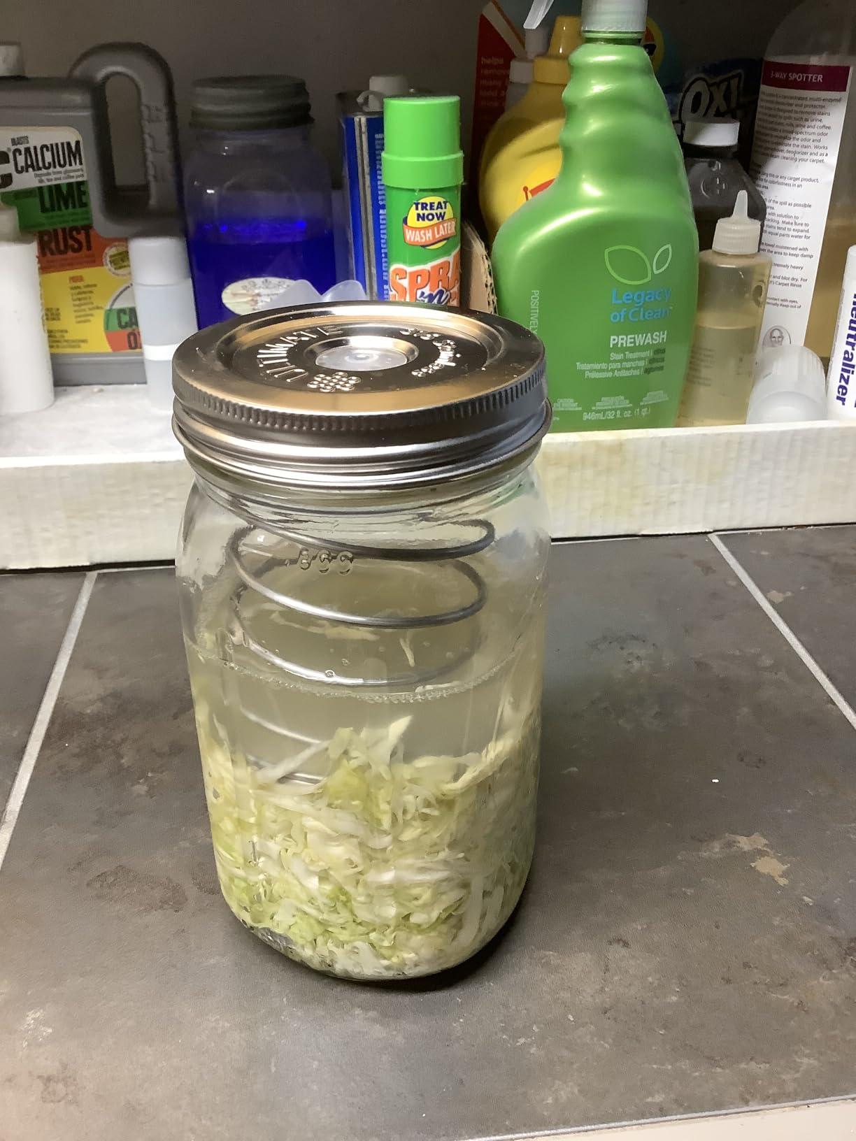 Ultimate Fermentation Kit to Make Probiotic Vegetables: Sauerkraut, Kimchi, Pickles w/FREE Digital Guide, 3 Fermenting Springs & Venting Lids for Easy Pickling in Wide Mouth Mason Jars (Not Included) customer photo 1