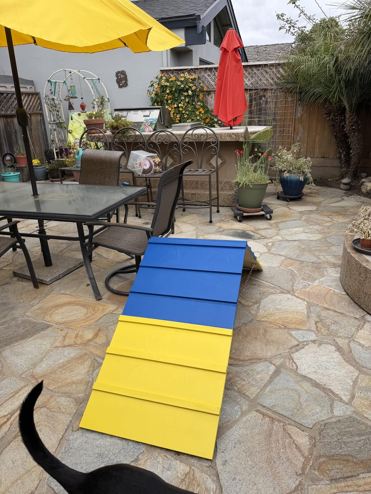 Dog Agility A Frame for Large Dogs, 82