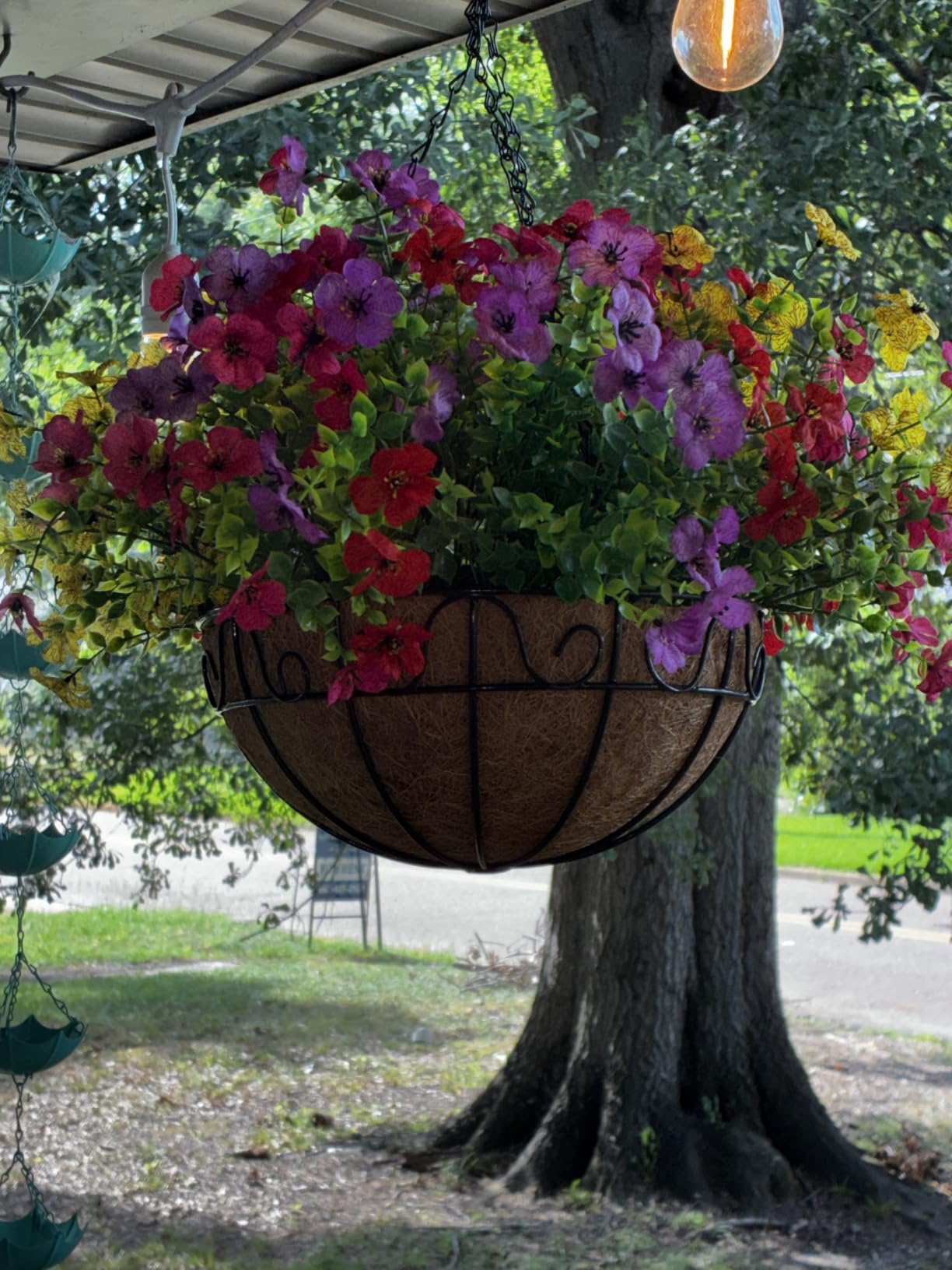 InnoGear Artificial Hanging Flowers for Outdoors Fake Plants Baskets 4 Hues, UV Resistant, Adjustable Stems customer photo 2