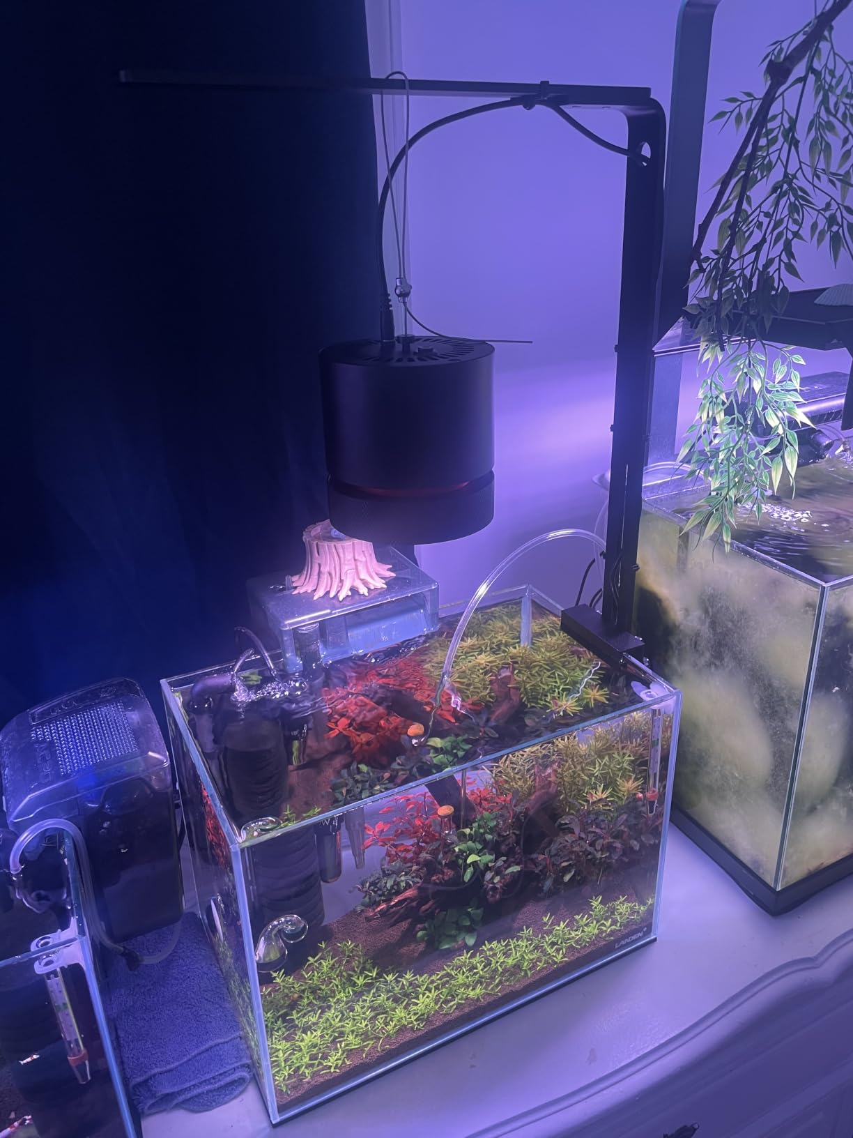 FZONE AXON 72W Aquarium Light WRGB Full Spectrum, APP Controlled LED Plant Light with Sunrise/Sunset, Freshwater Fish Tank Light for Planted Aquariums (Hanging Kit) customer photo 2