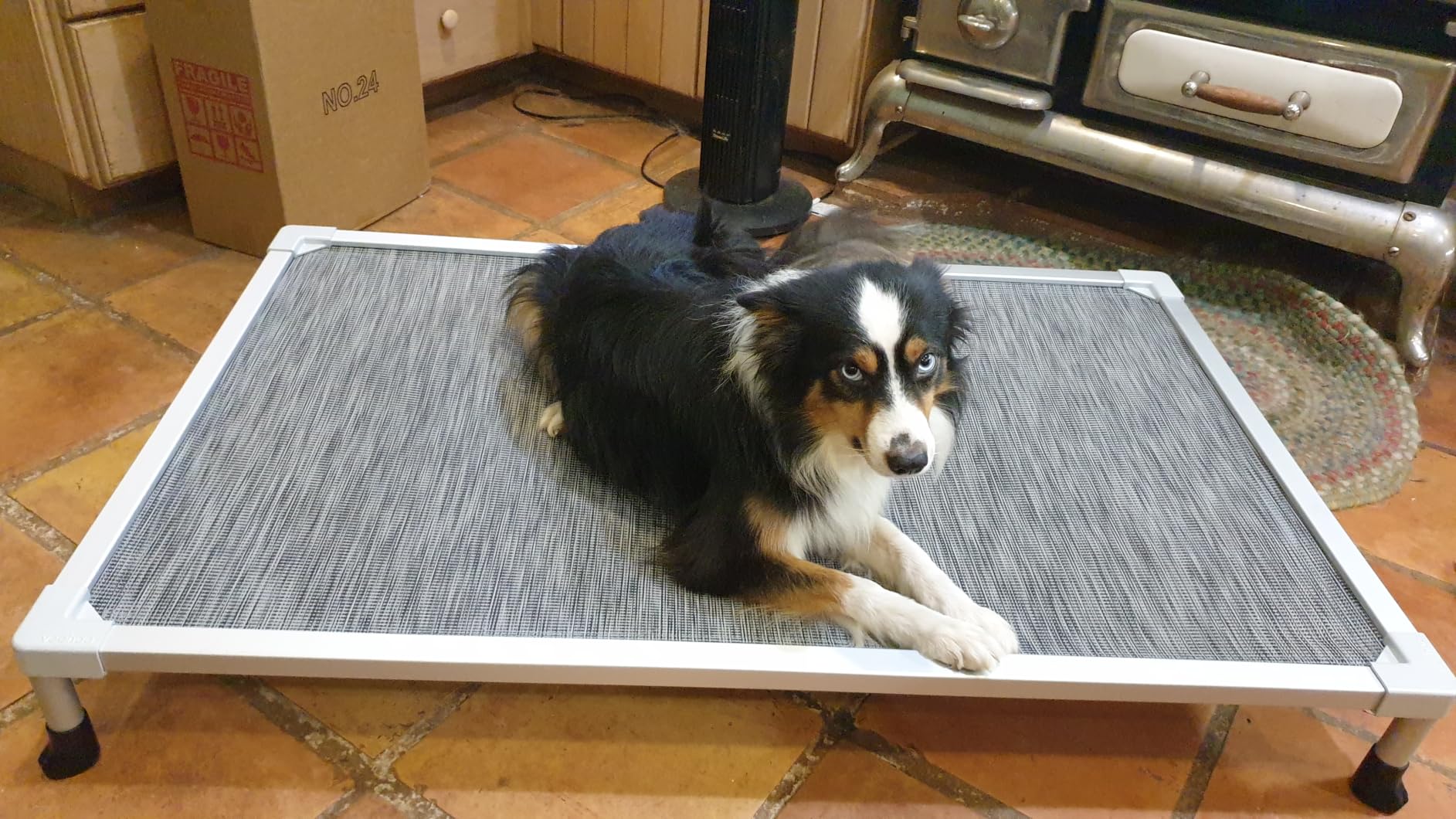 Veehoo Chew Proof Elevated Dog Bed, Silver Aluminum Dog Cot, Pre-Assembled customer photo 1