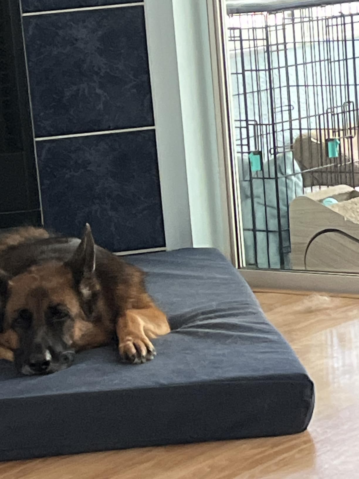 Air Purifiers for Home Pets Large Room Up to 3000 Ft², HEPA Air Cleaner customer photo 1