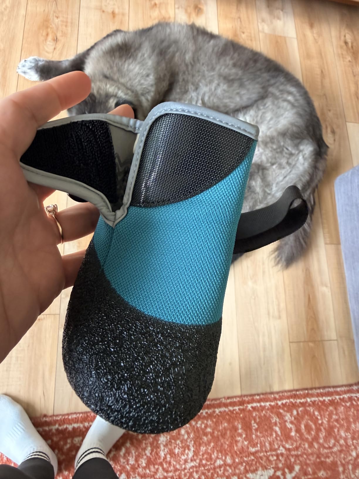 Dog Shoes for Medium Large Dogs - Flexible Rubber Sole Dog Boots, Breathable Mesh Paw Protectors for Hot Pavement, Indoor Anti-Slip, Fits Golden Retriever, Labrador, Blue-Black customer photo 1