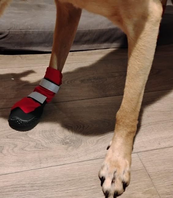 PAWsay Dog Hiking Boots with High Top Non Slip Dog Shoes for Slippery Land | Water-resistant Paw Protectors for Outdoor Walking Running Adjustable Dog Shoes for Medium Large Dogs to Prevent Scratching customer photo 2