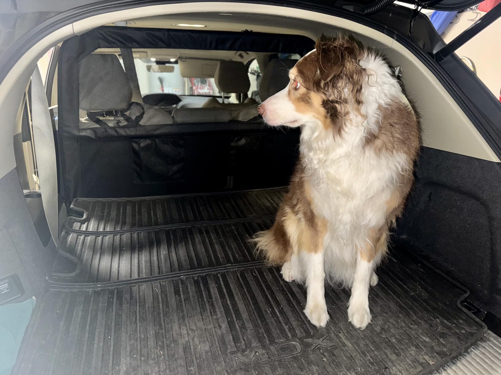 Dog Car Barrier for Cars SUVs Trucks - 50
