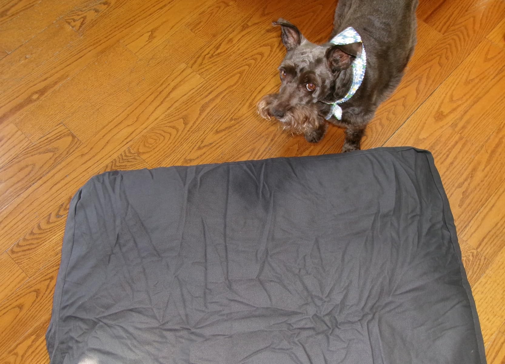 FURTIME Chew Proof Indestructible Dog Bed for Large Dogs, Dog Crate Pad customer photo 2