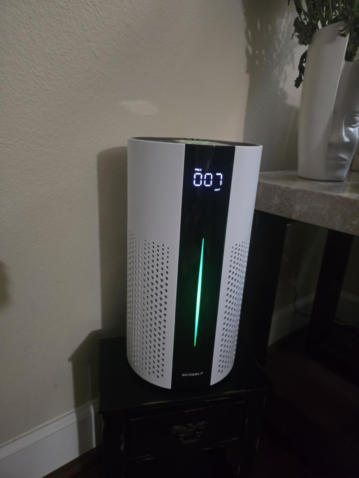 ECOSELF Air Purifiers for Home Large Room Up to 1800 Ft², HEPA Air Purifier customer photo 1
