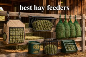 best hay feeders