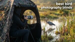 best bird photography blinds
